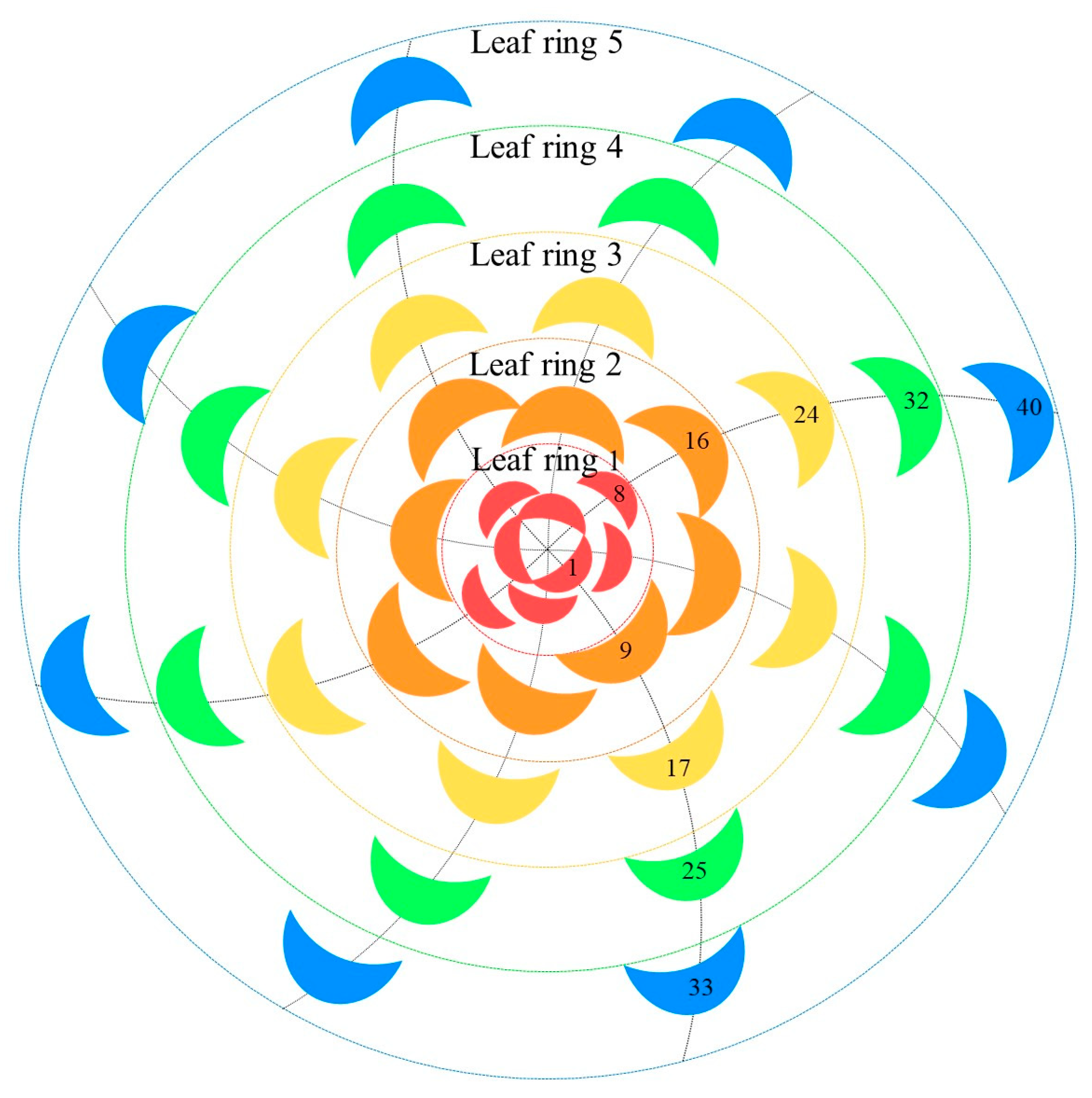 Agronomy 14 01686 g001