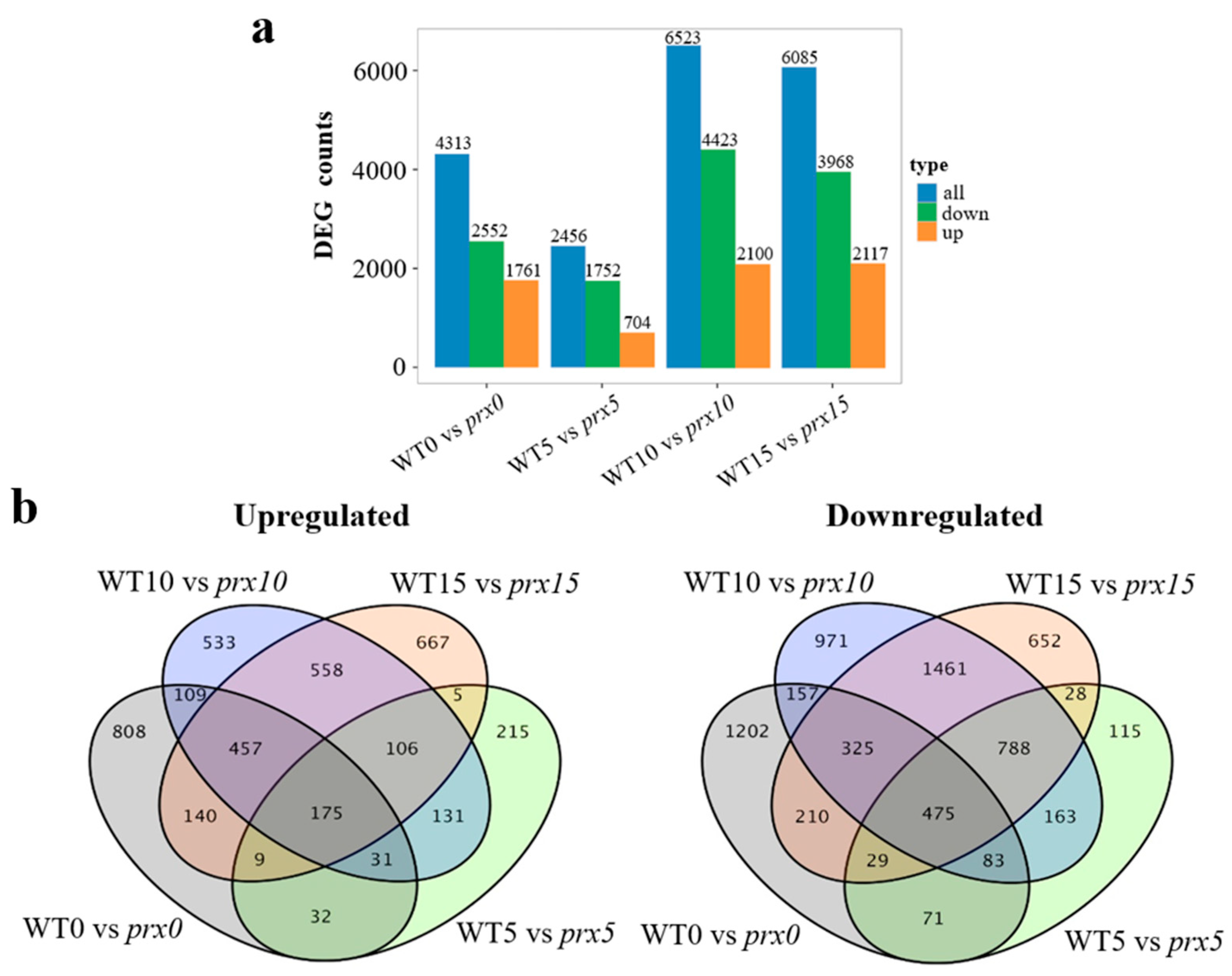 Agronomy 14 01689 g003