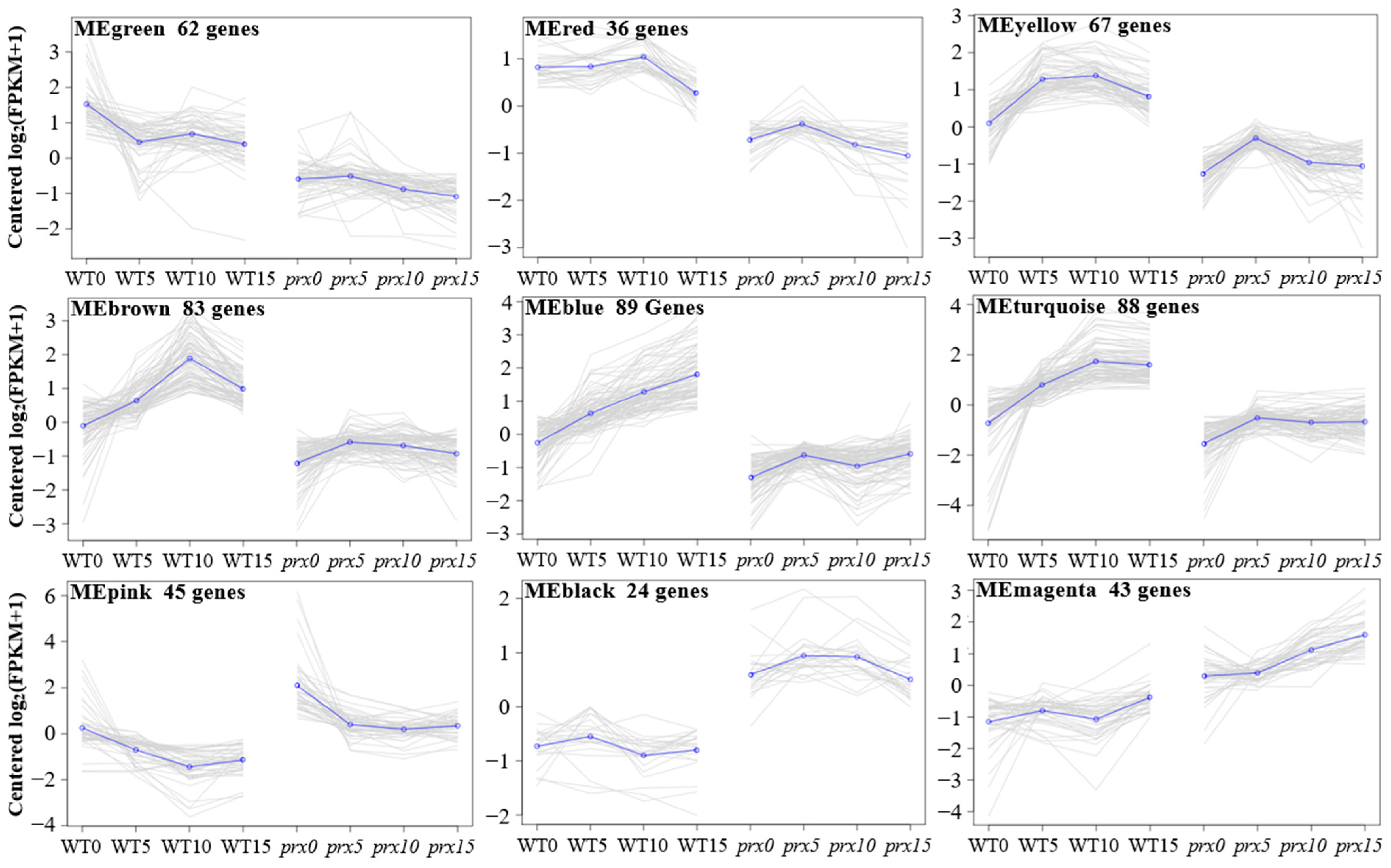 Agronomy 14 01689 g006