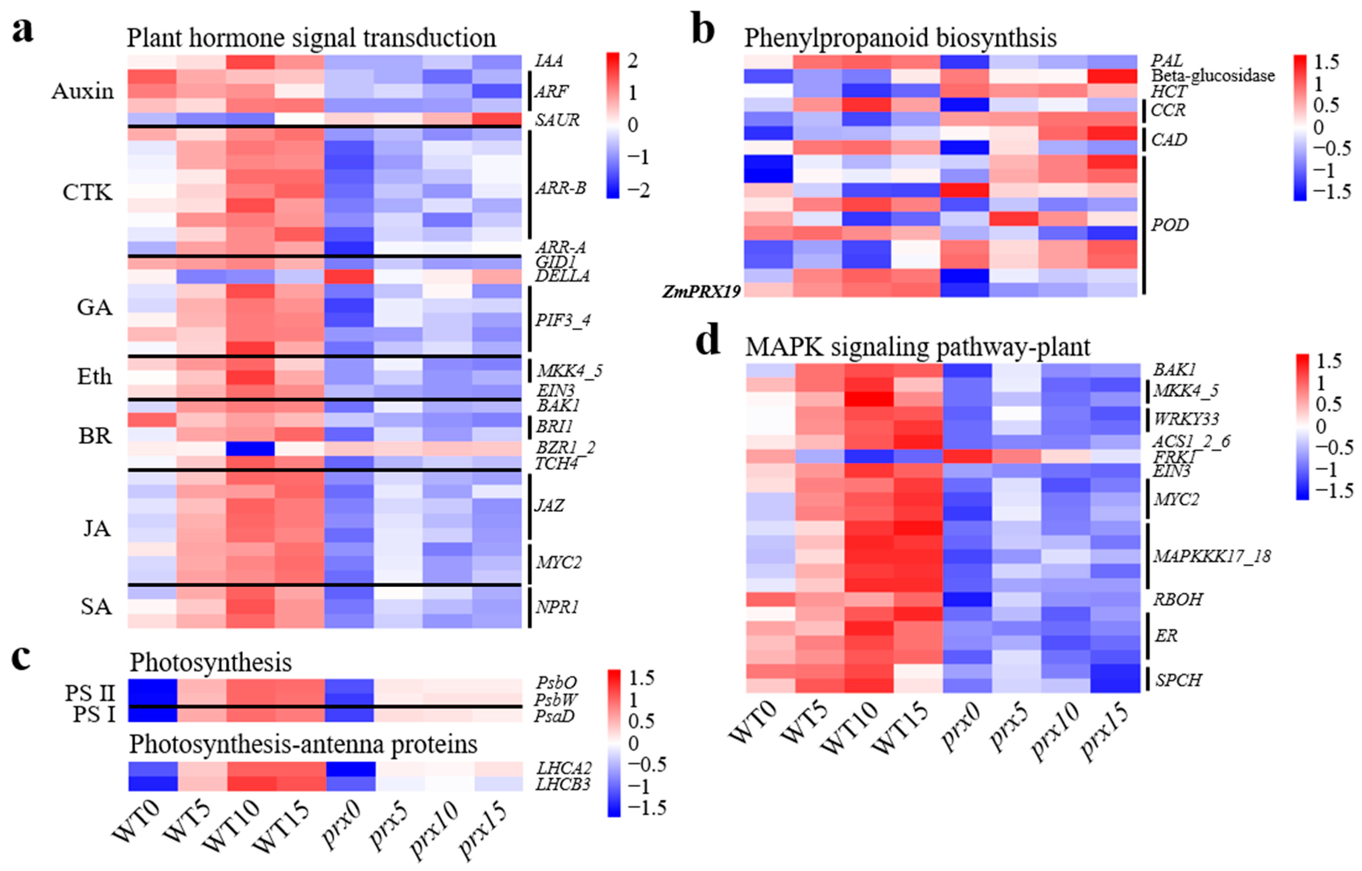 Agronomy 14 01689 g009