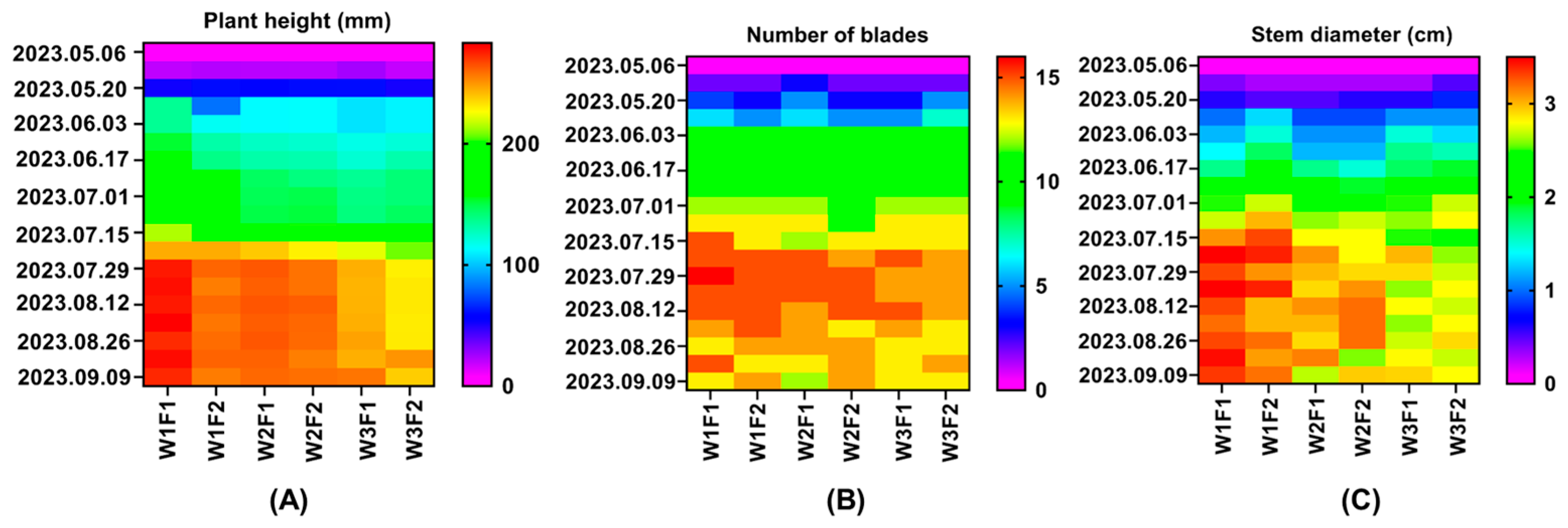 Agronomy 14 01691 g004