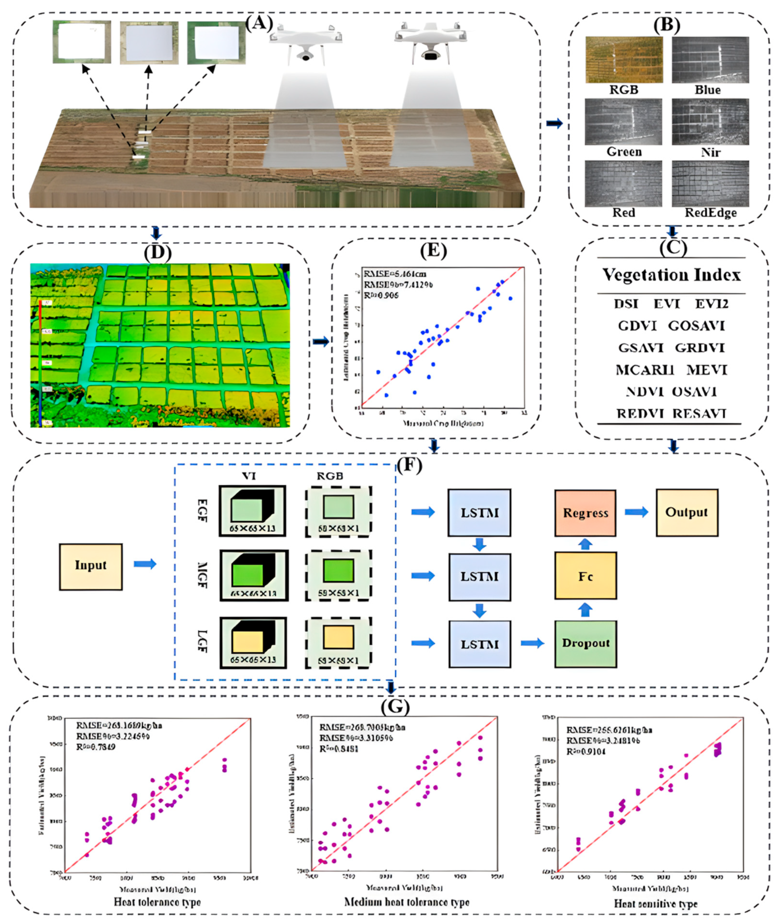 Agronomy 14 01694 g003