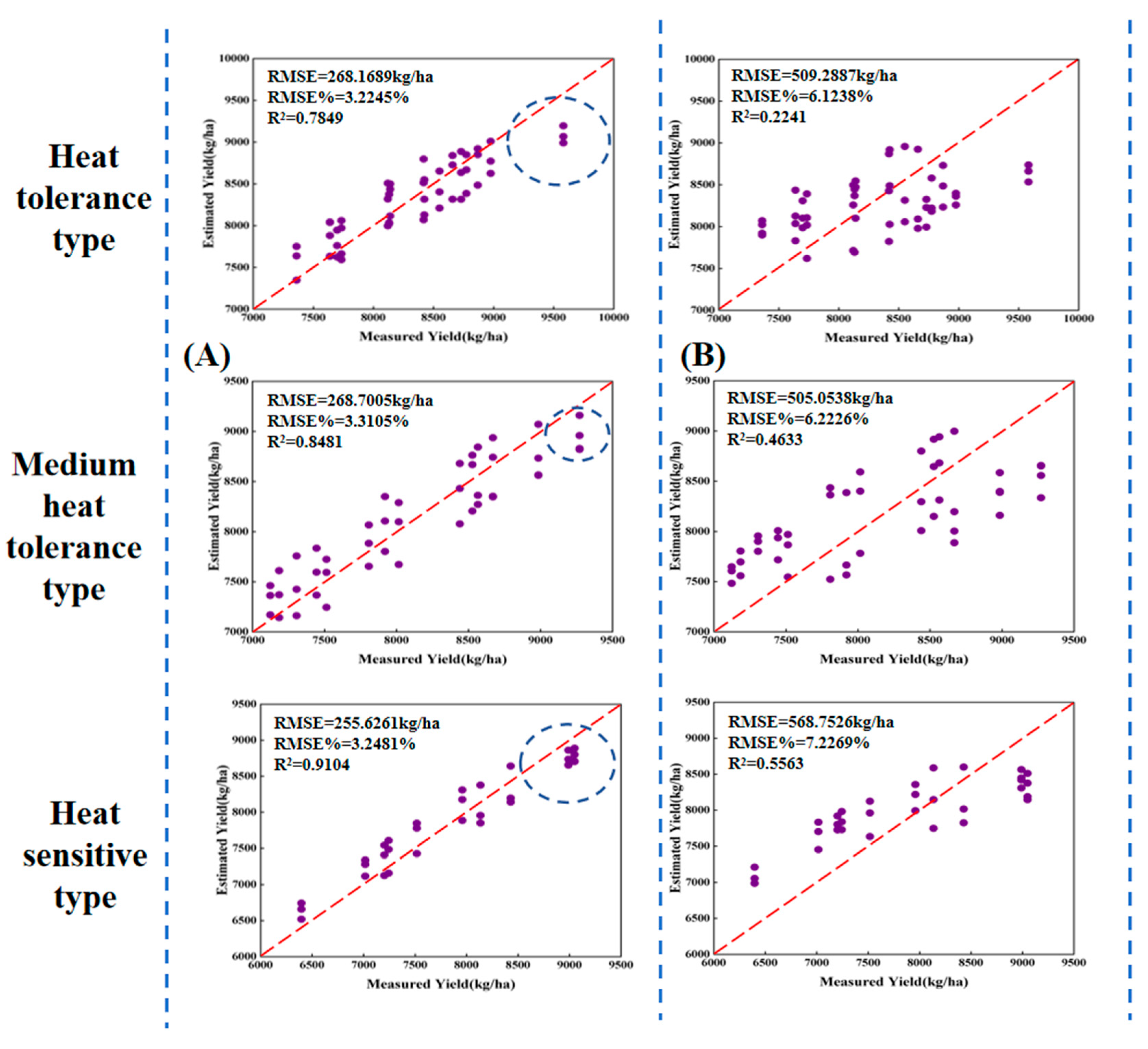 Agronomy 14 01694 g010