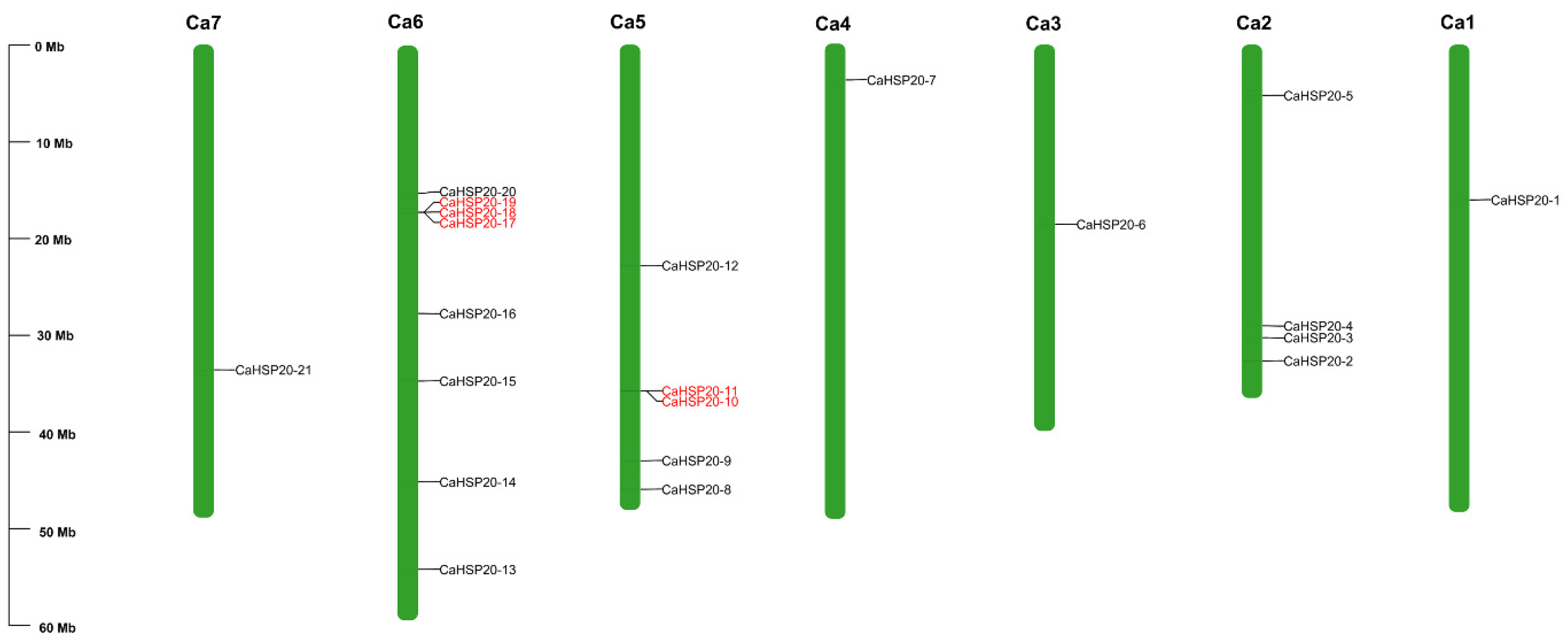Agronomy 14 01696 g001