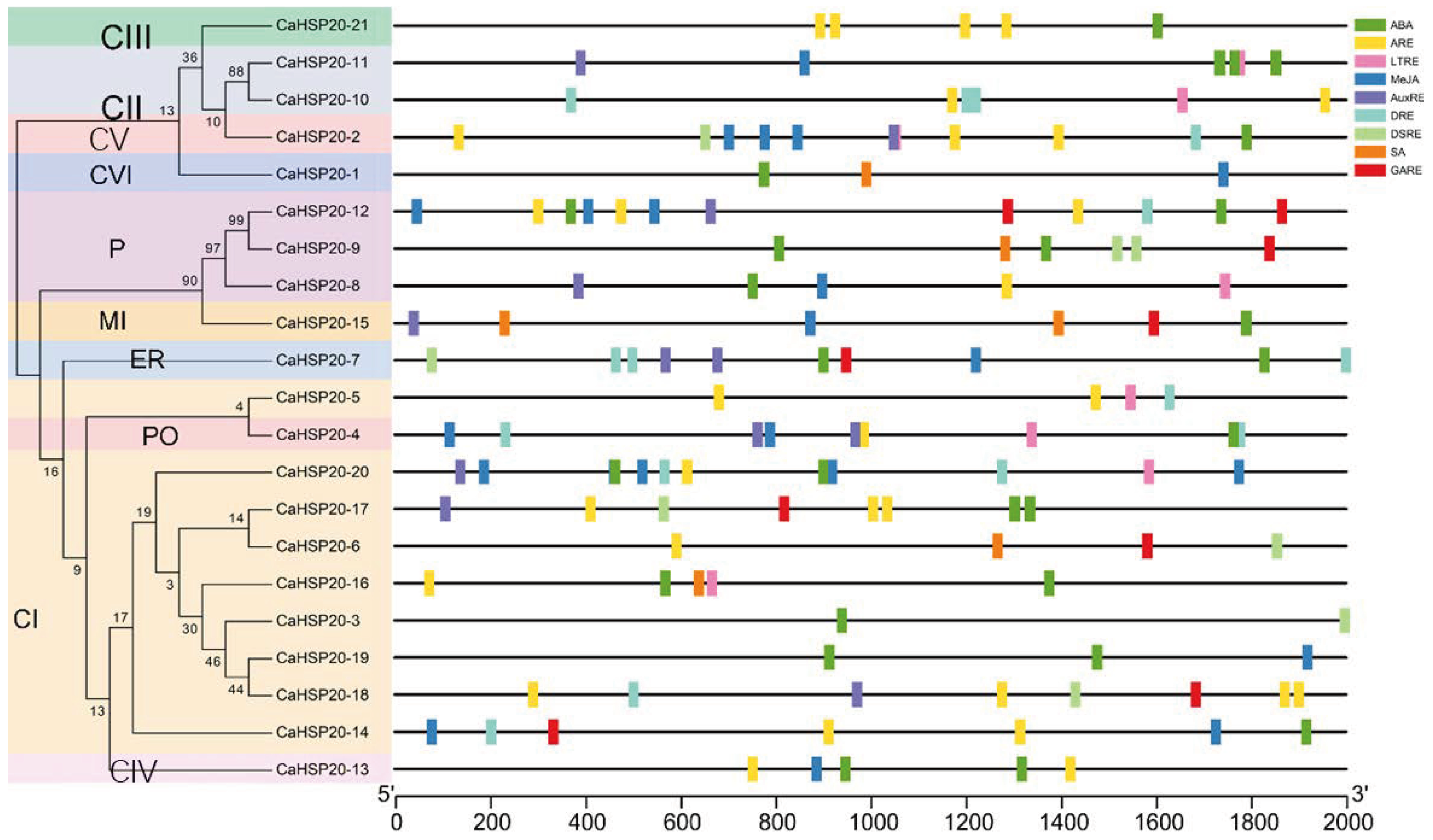 Agronomy 14 01696 g008