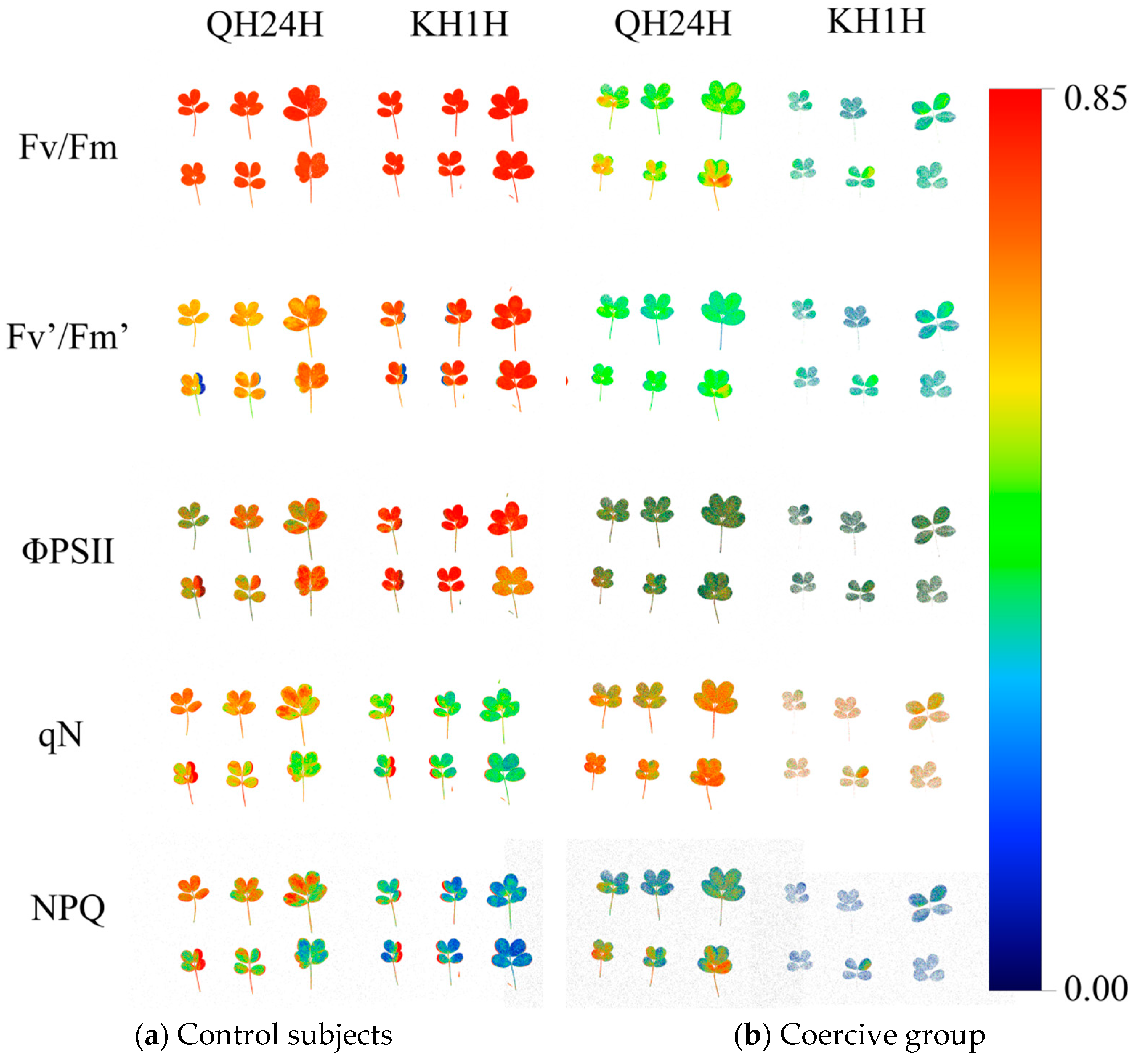 Agronomy 14 01699 g003