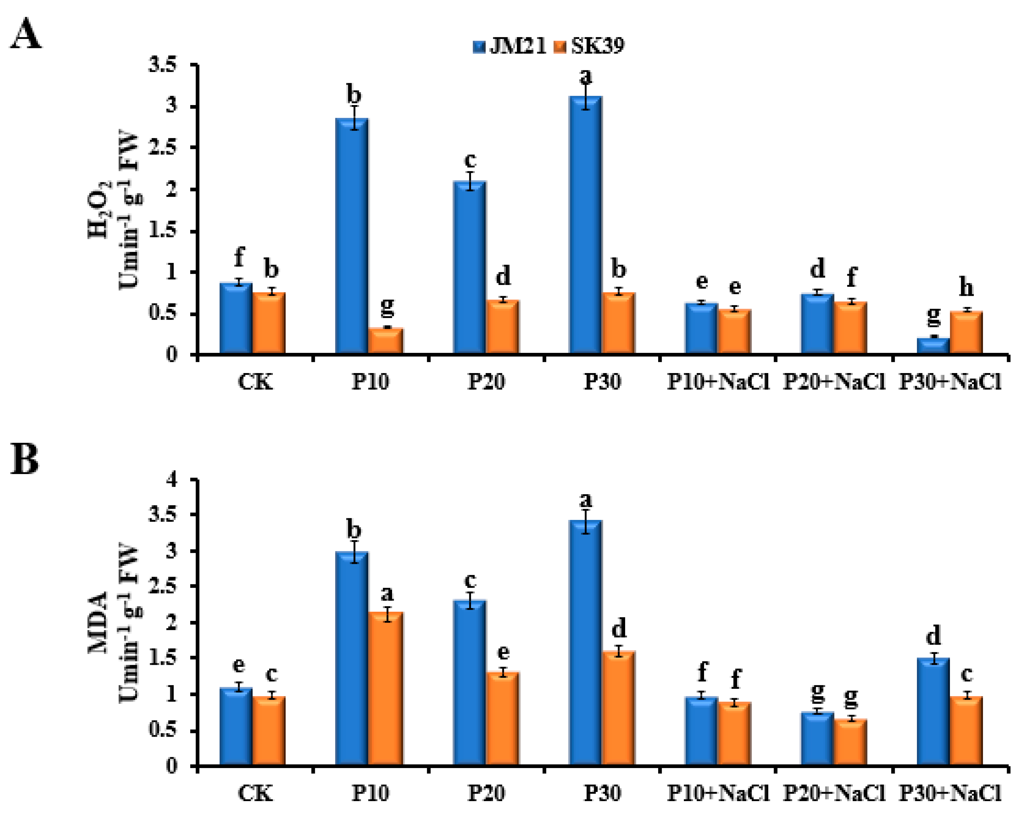 Agronomy 14 01707 g006