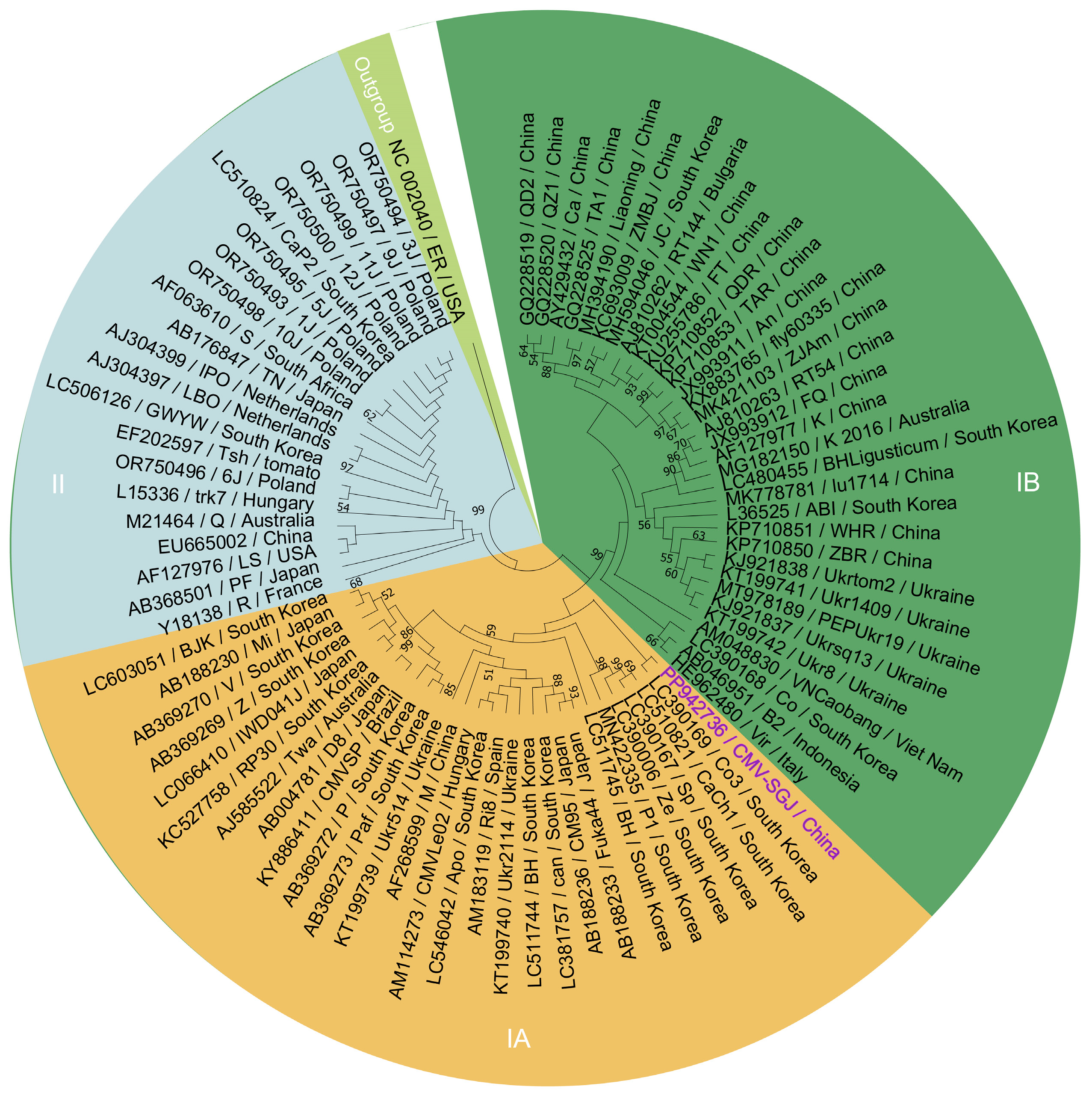 Agronomy 14 01709 g004