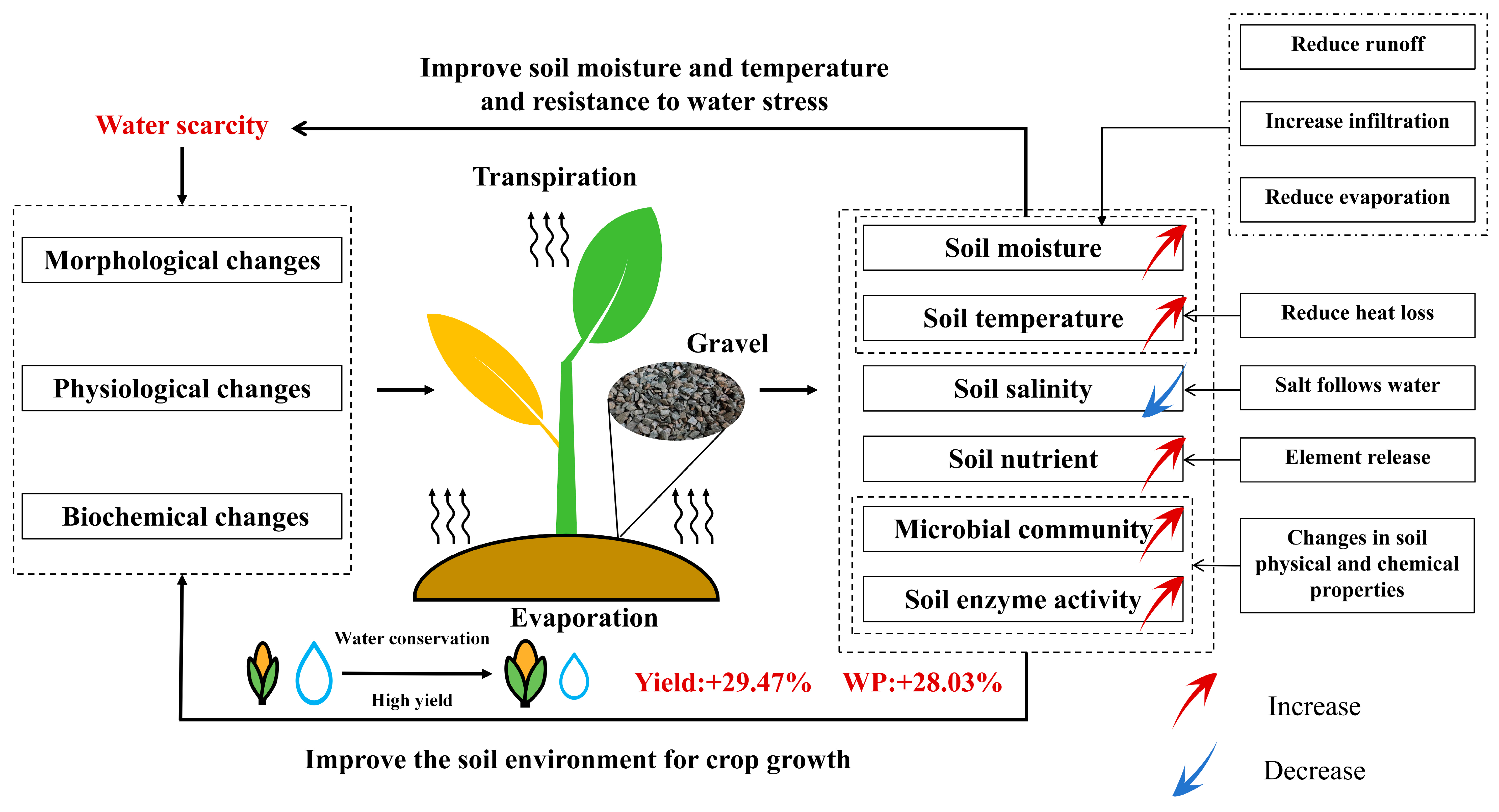 Agronomy 14 01717 g010