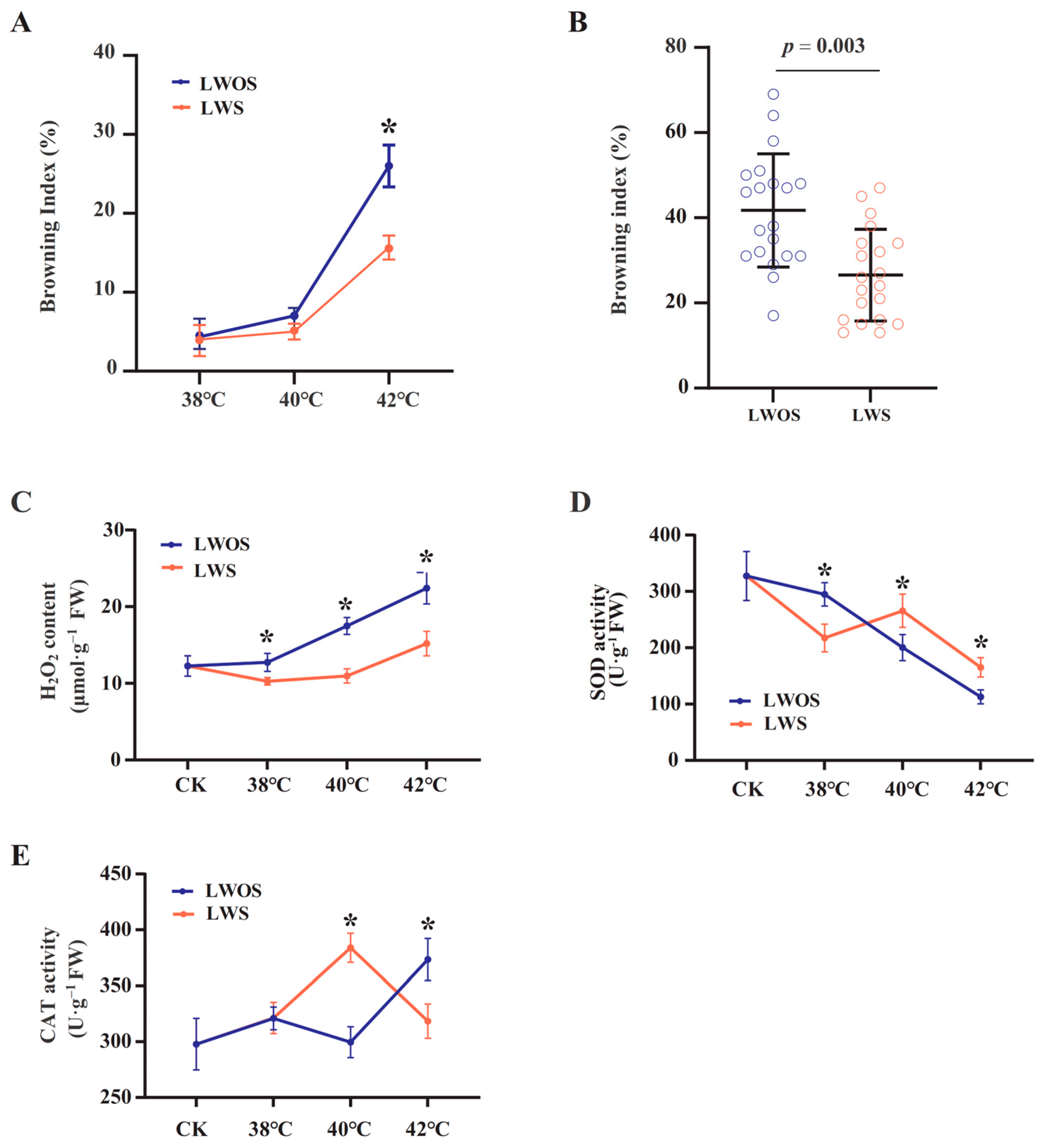 Agronomy 14 01722 g001