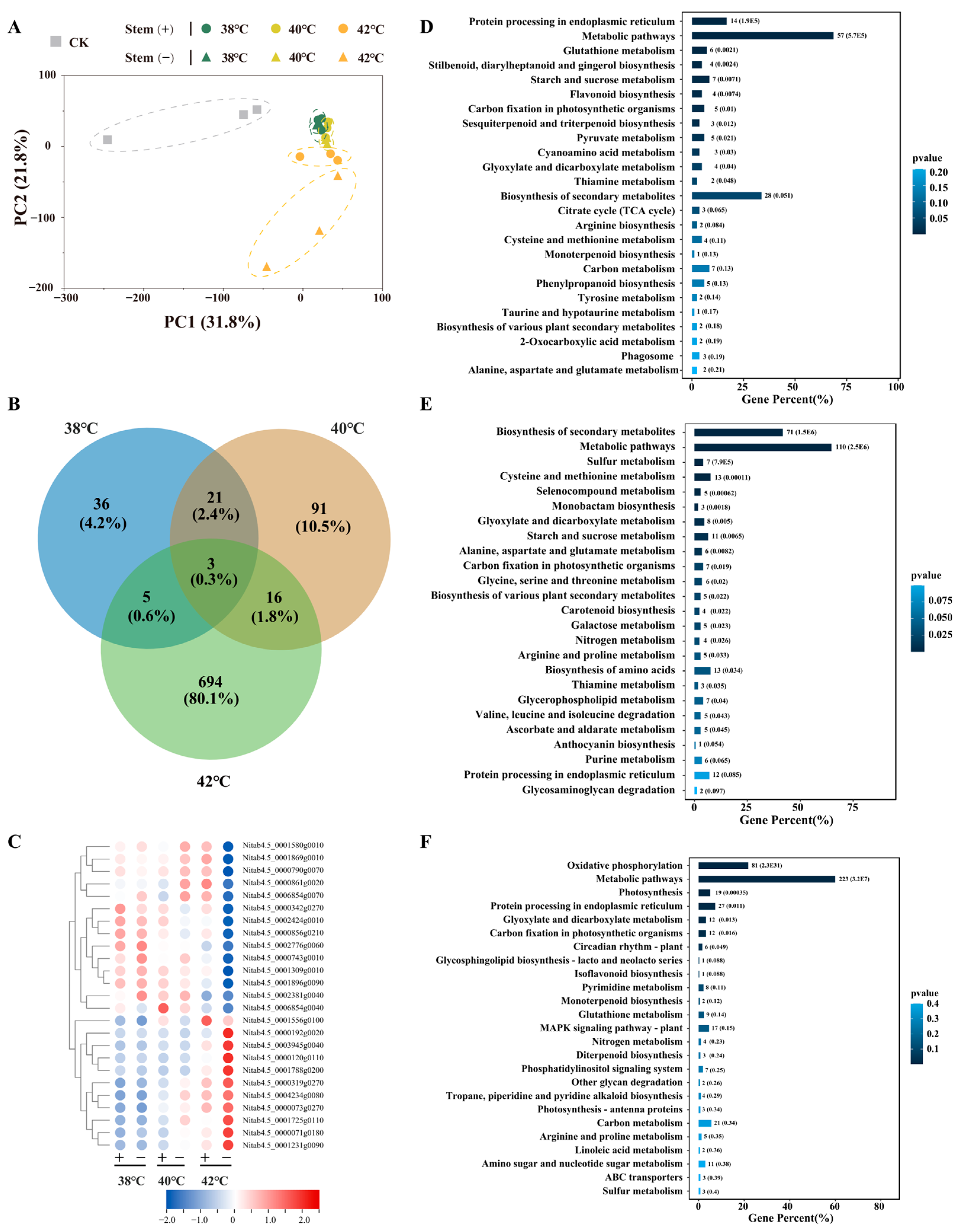 Agronomy 14 01722 g004