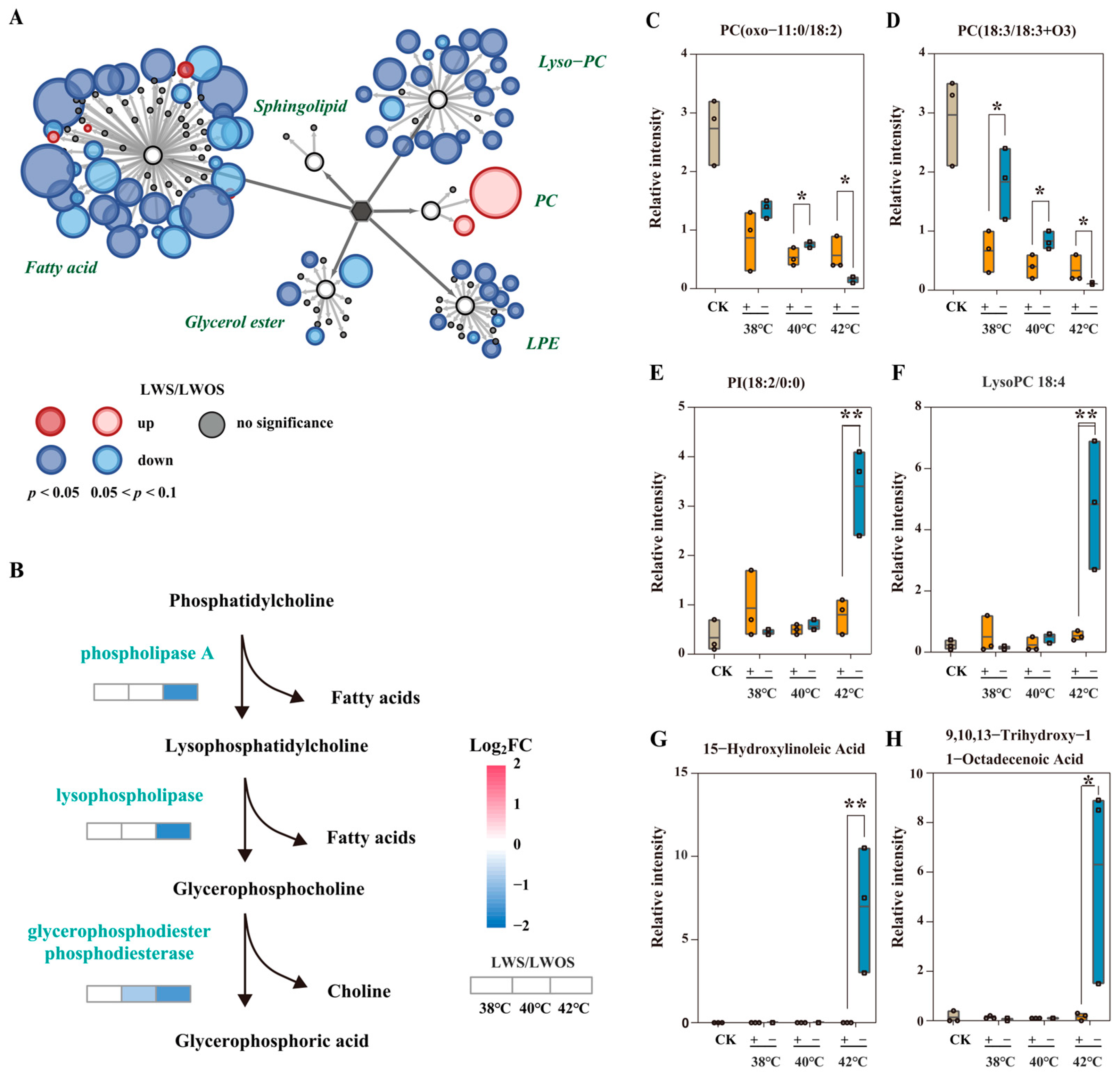 Agronomy 14 01722 g005