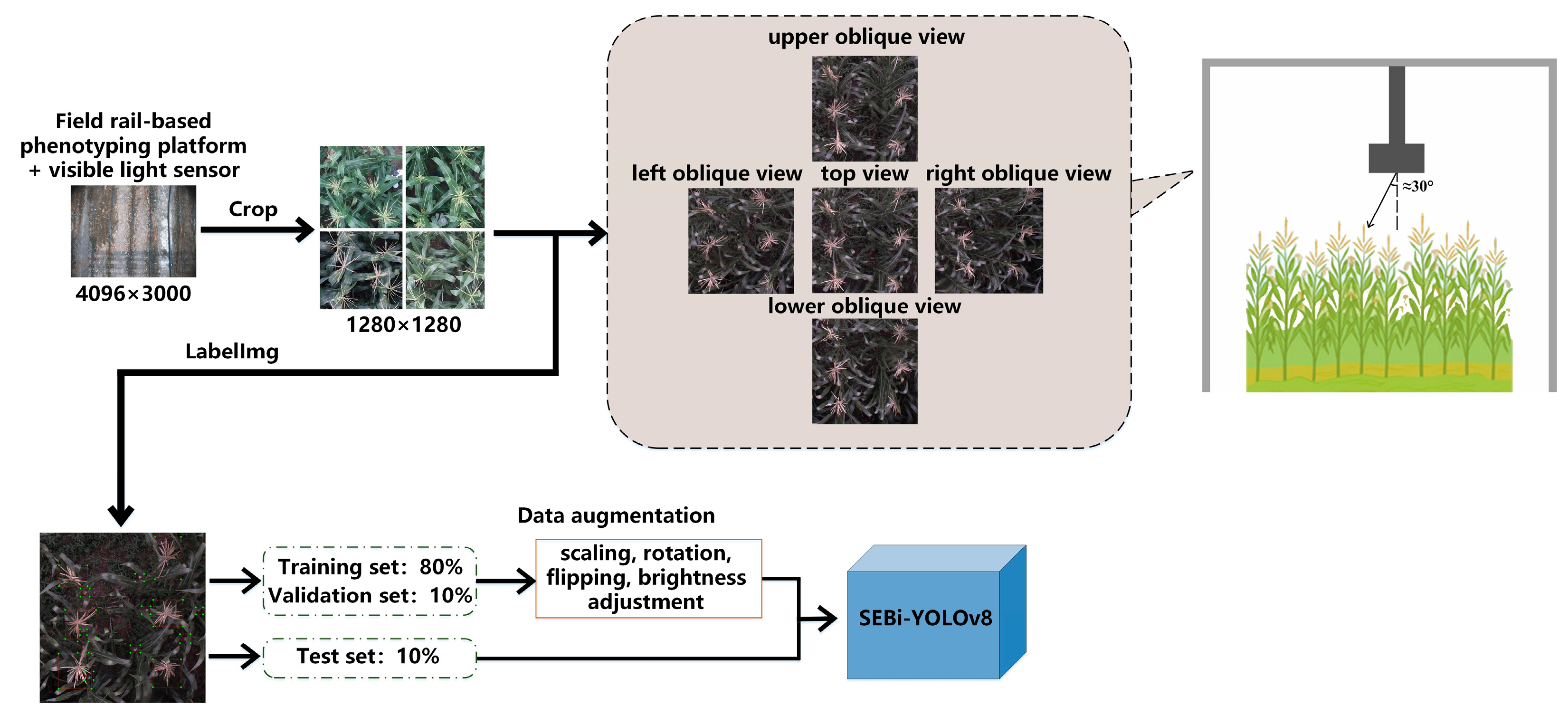 Agronomy 14 01723 g003