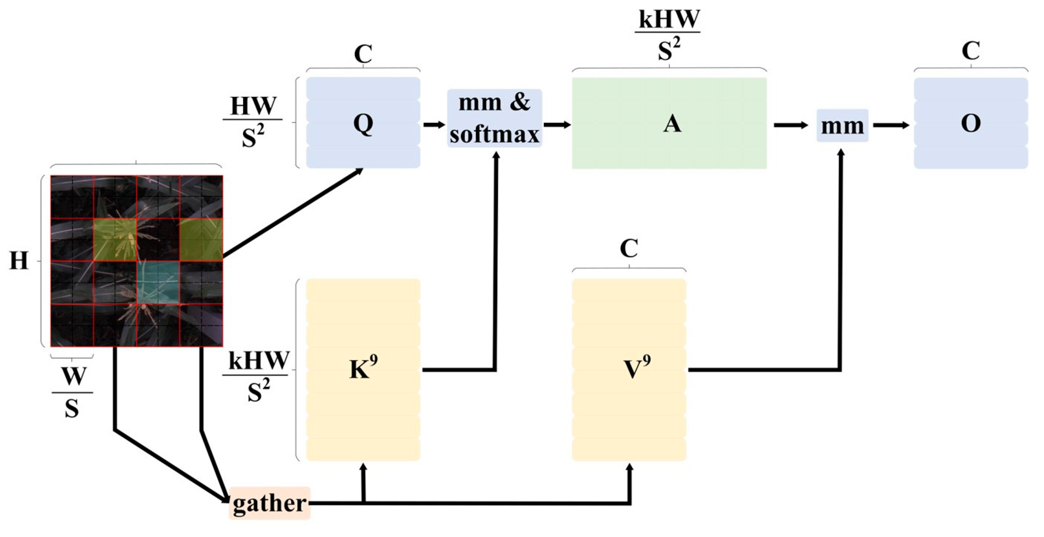 Agronomy 14 01723 g004
