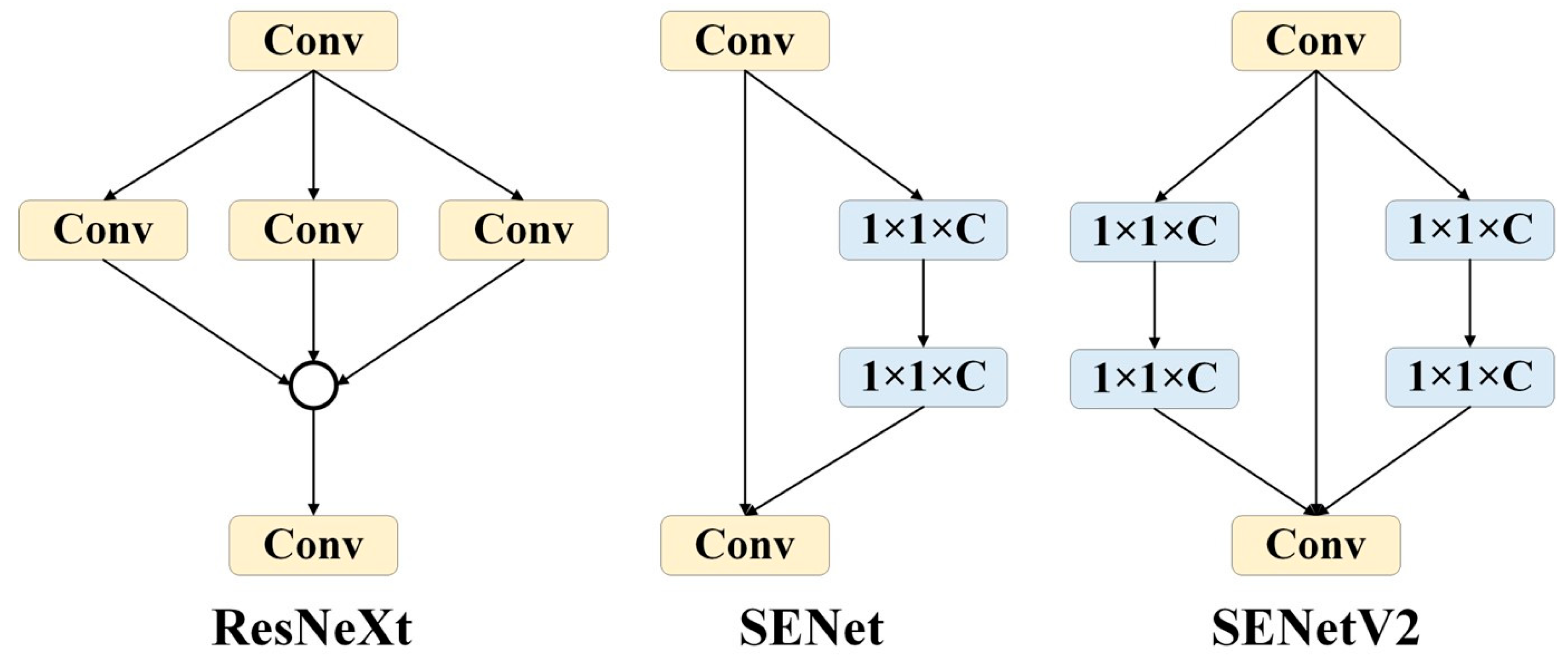 Agronomy 14 01723 g005