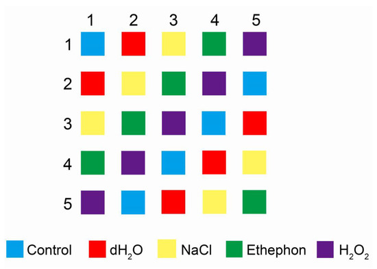 フレグランス 12345 カーミングメソッド アンカーチャート - Etsy 日本