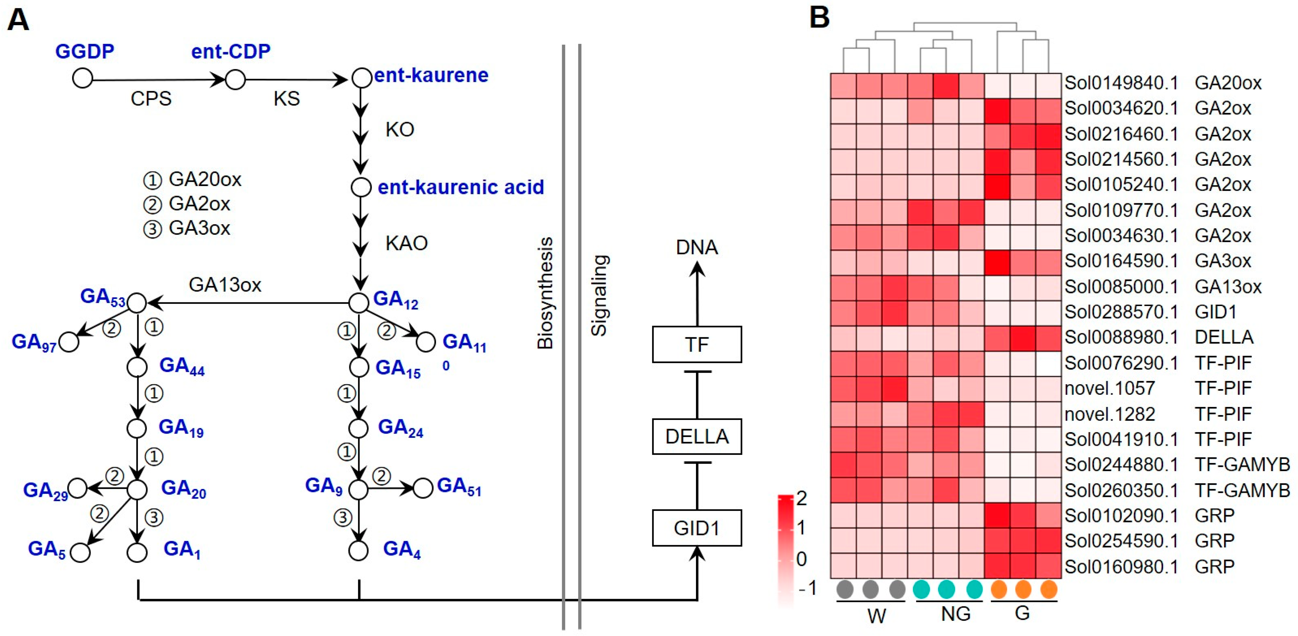 Agronomy 14 01736 g005