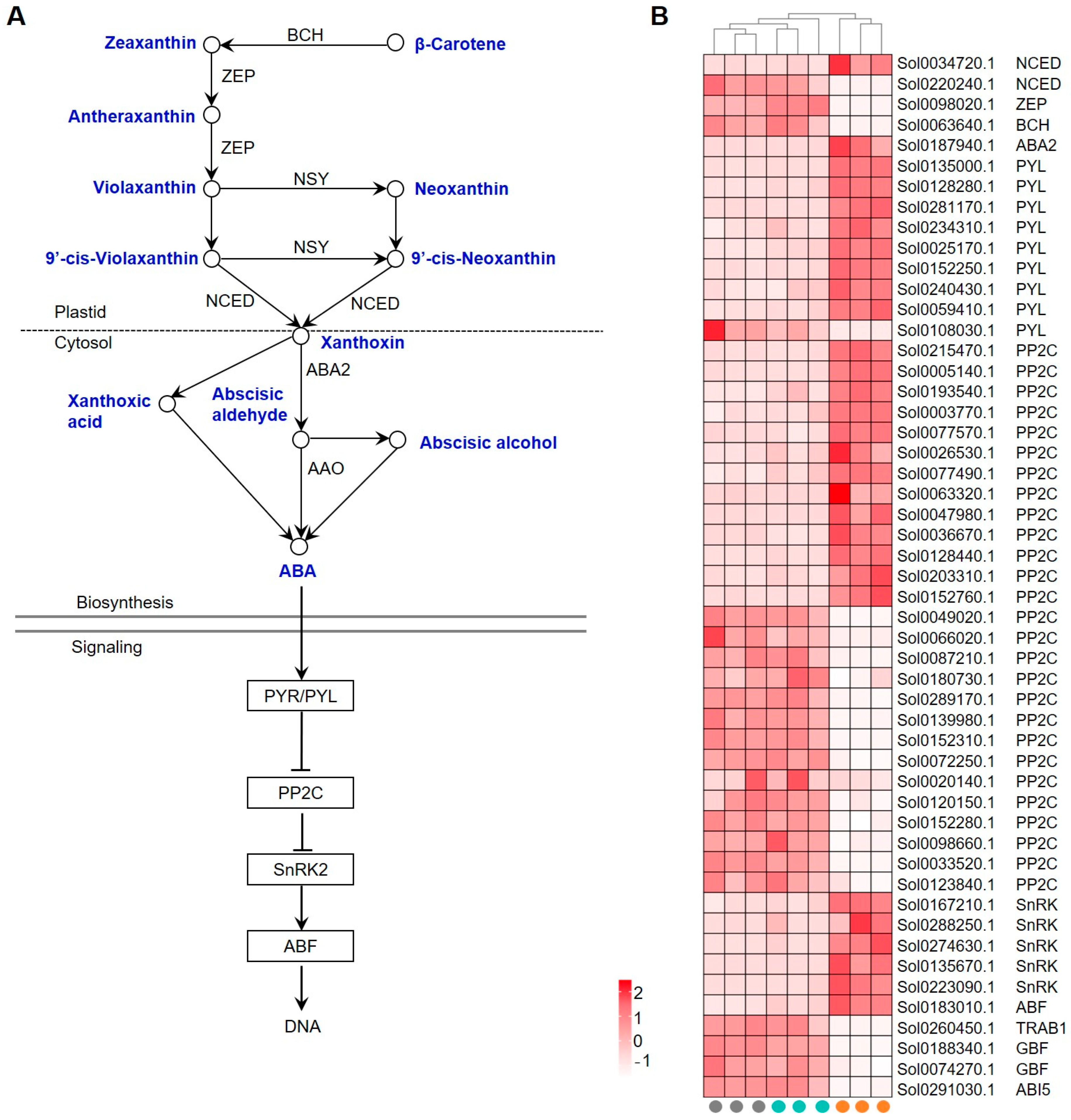 Agronomy 14 01736 g006