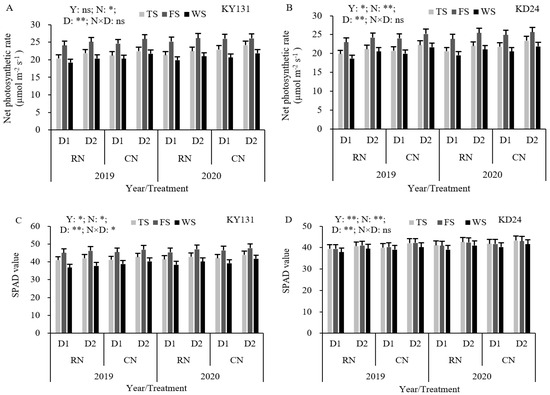 Optimizing Nitrogen Dosage and Planting Density to Improve