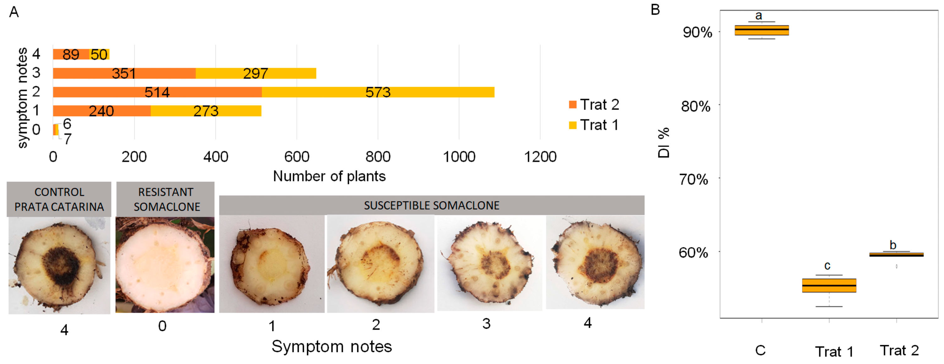 Agronomy 14 01740 g001