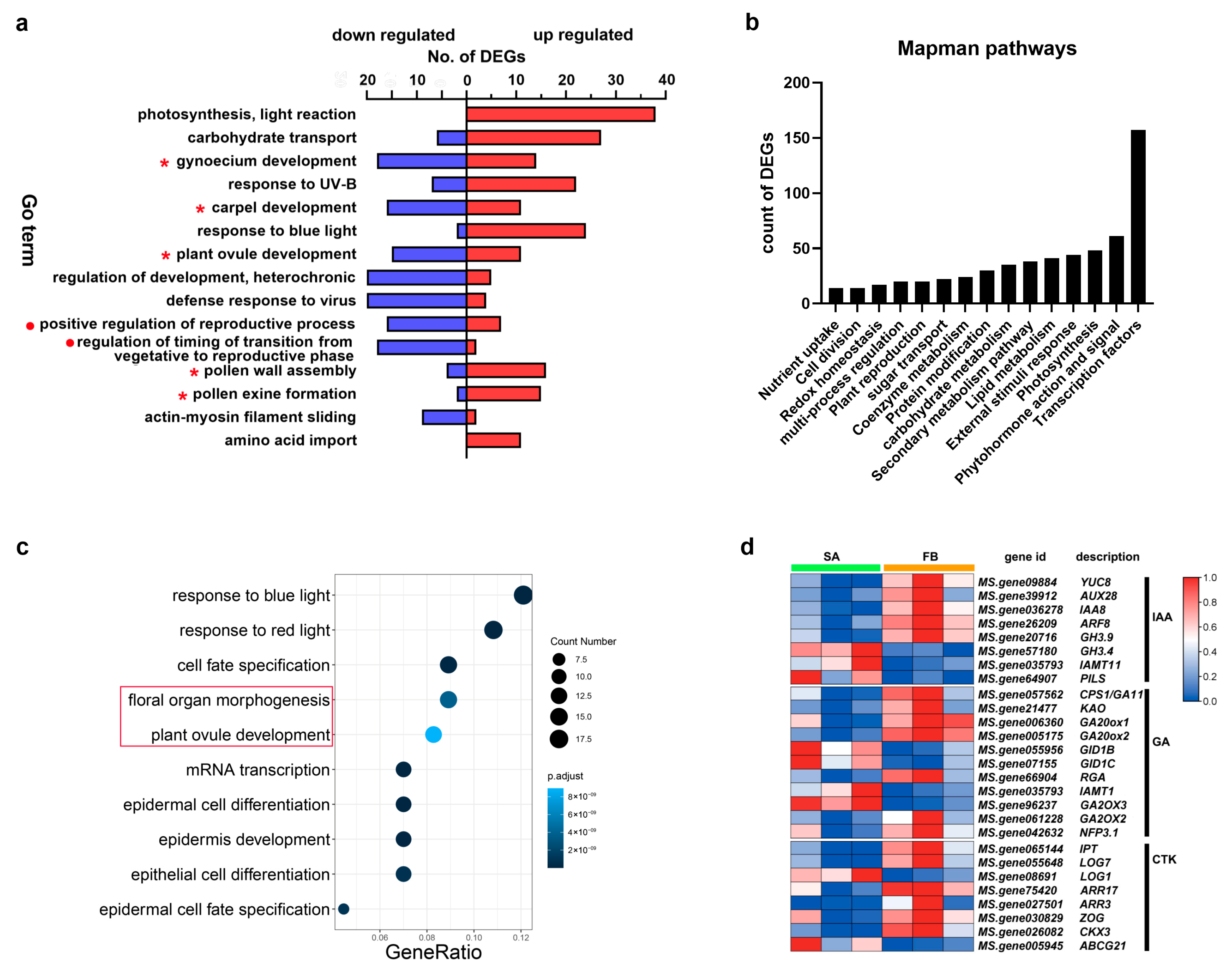Agronomy 14 01741 g002