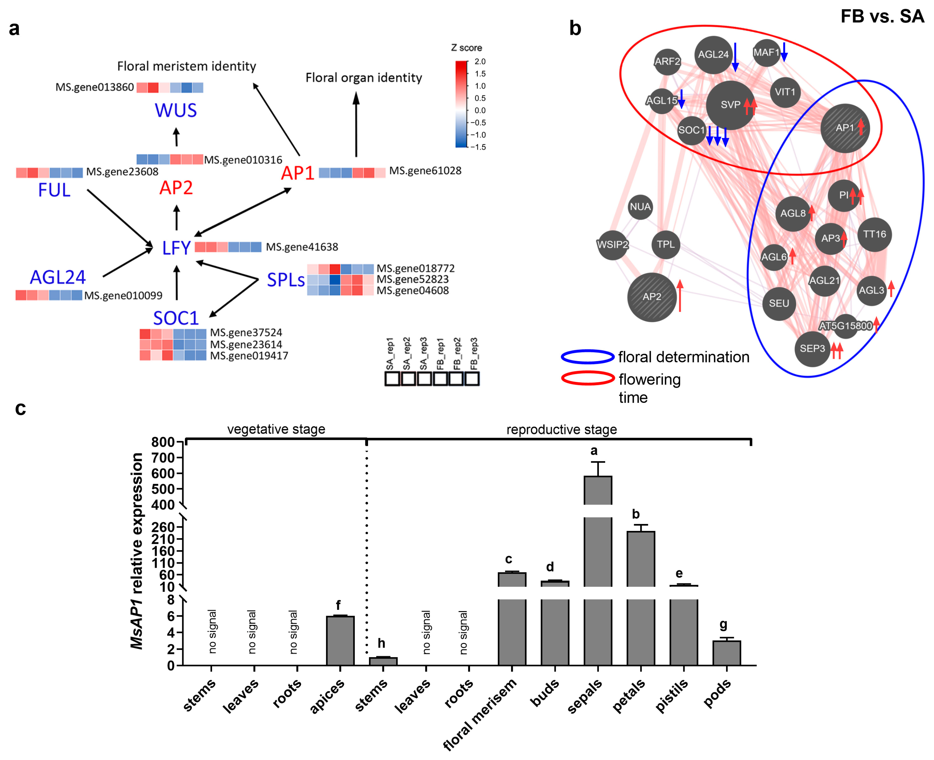 Agronomy 14 01741 g003