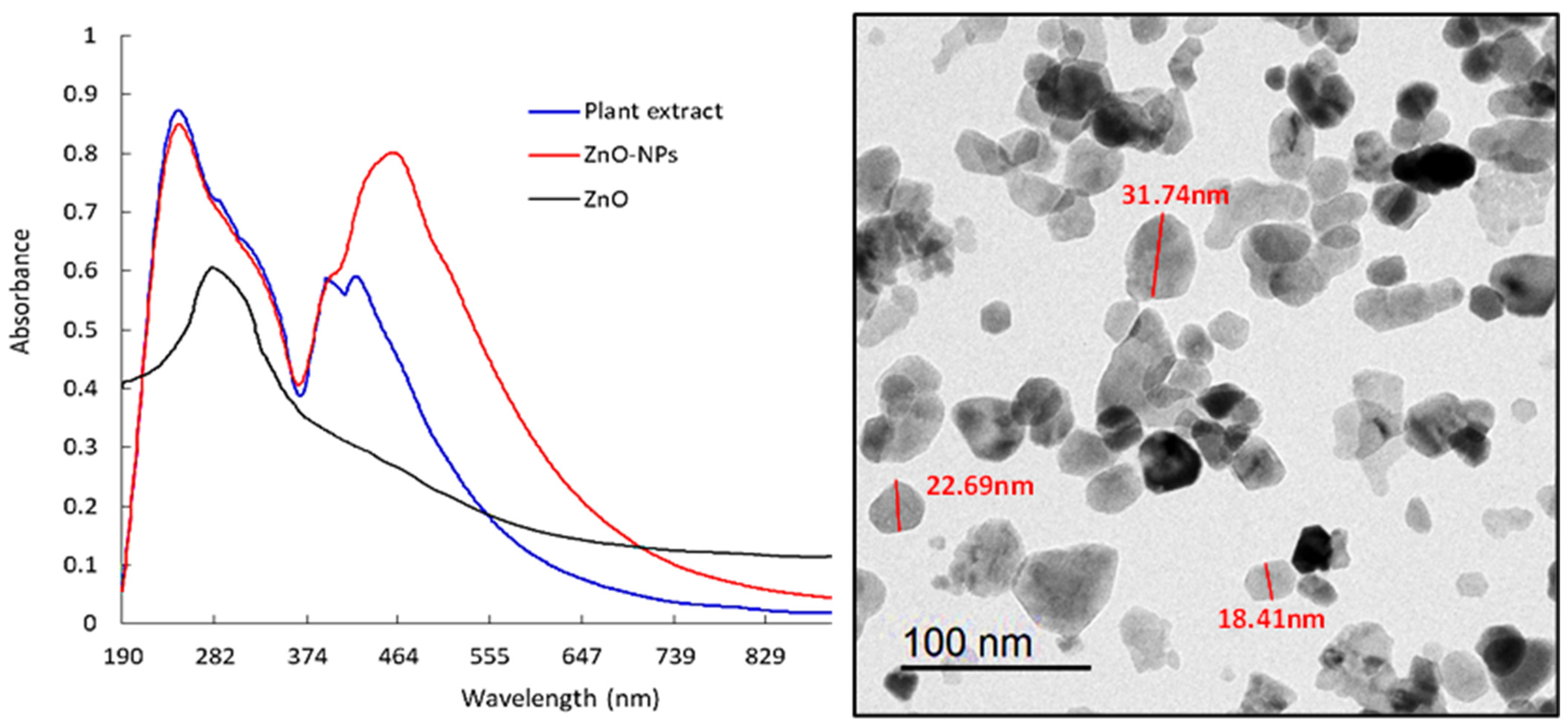 Agronomy 14 01742 g003 Agronomy 14 01742 g003