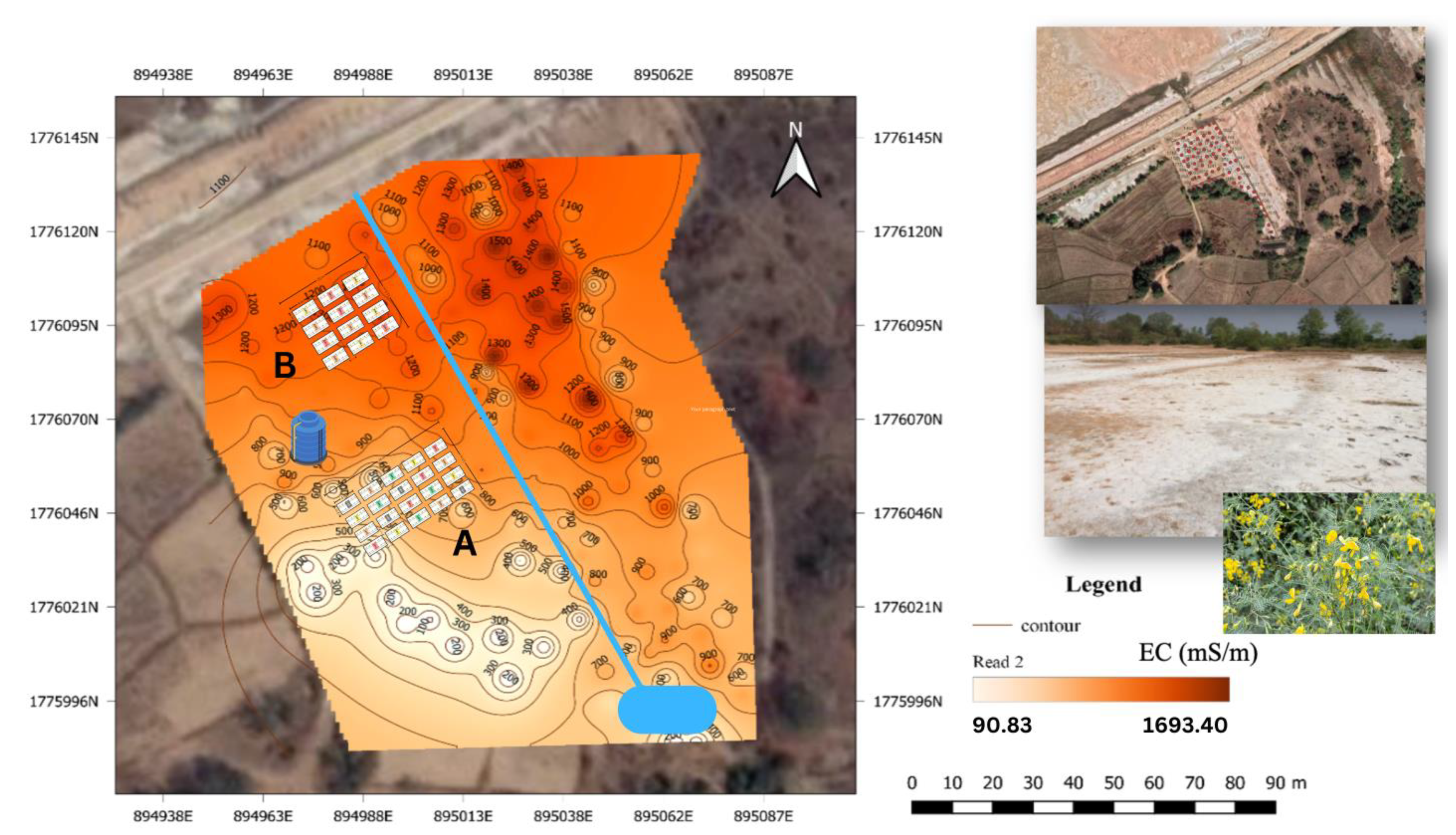 Agronomy 14 01745 g002
