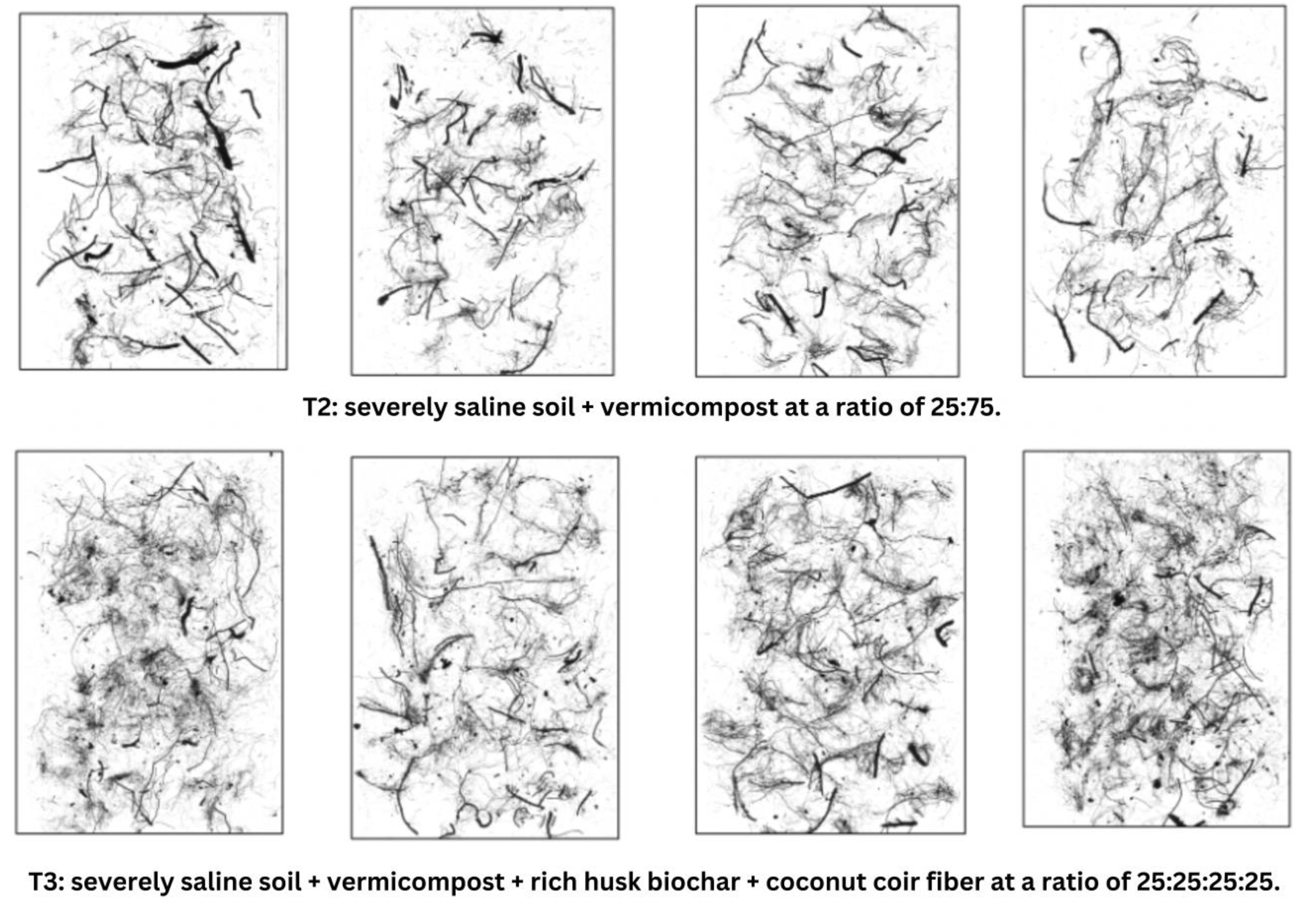 Agronomy 14 01745 g008