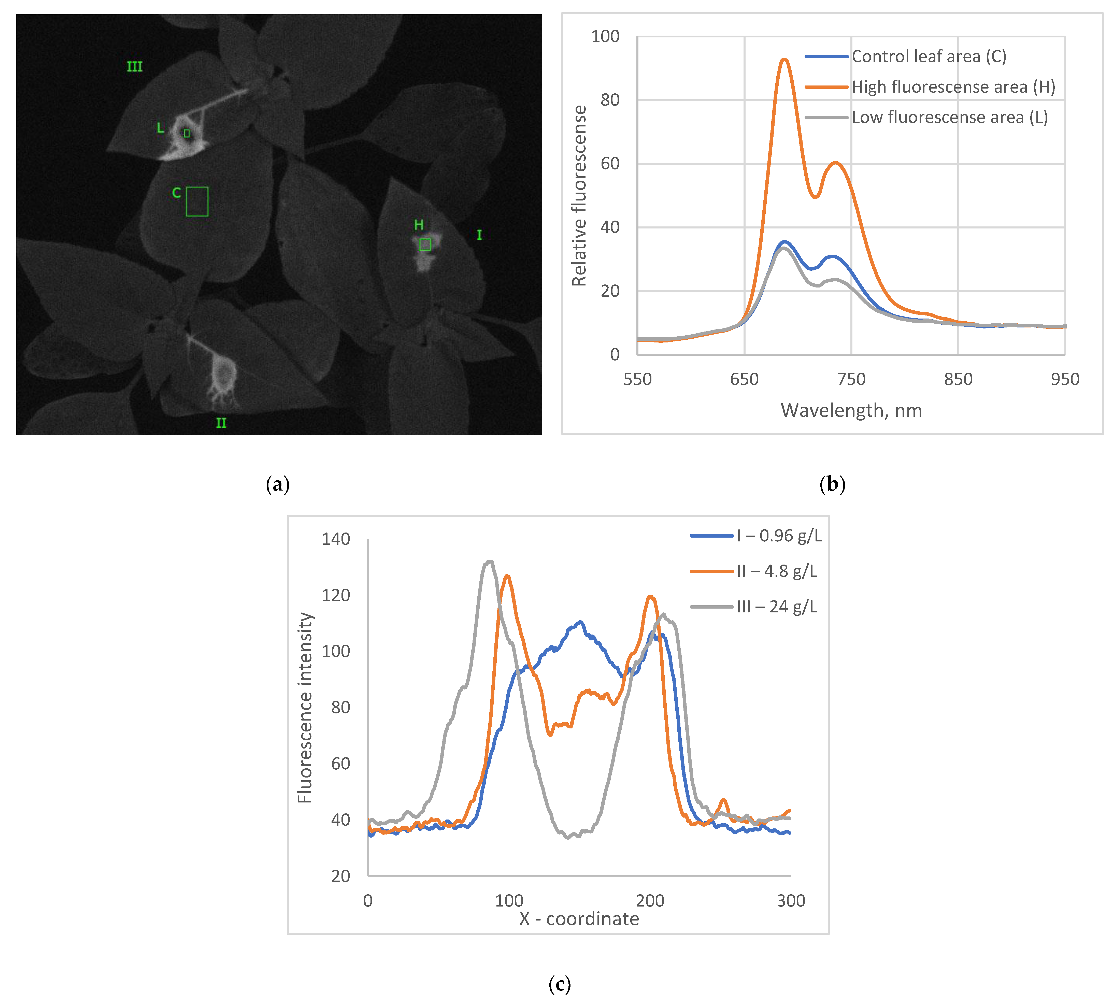 Agronomy 14 01748 g002