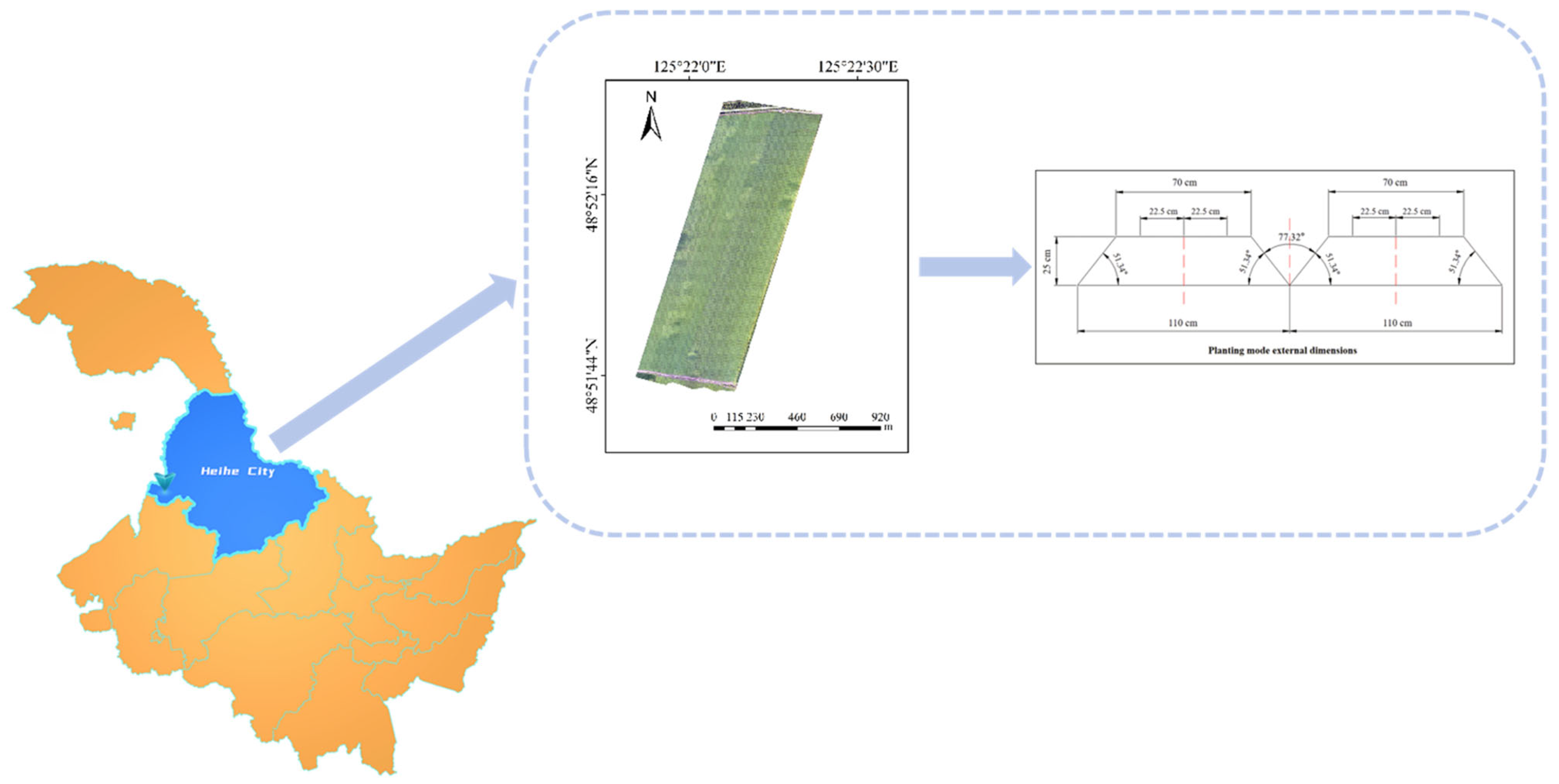 Agronomy 14 01749 g001