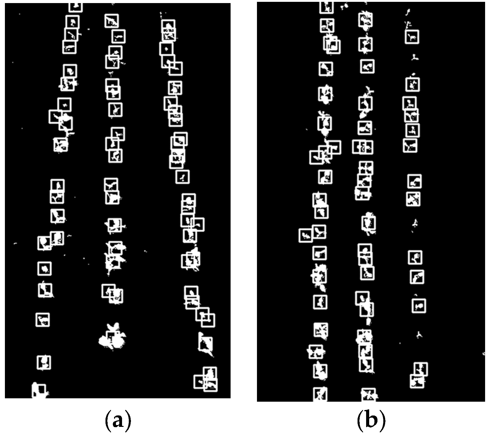 Agronomy 14 01749 g005