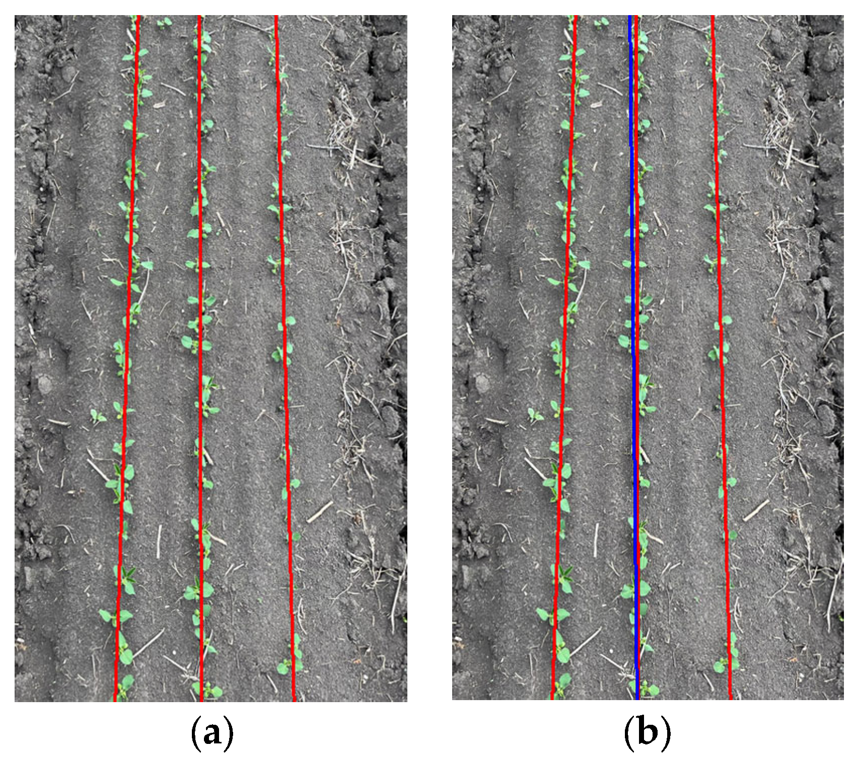 Agronomy 14 01749 g013