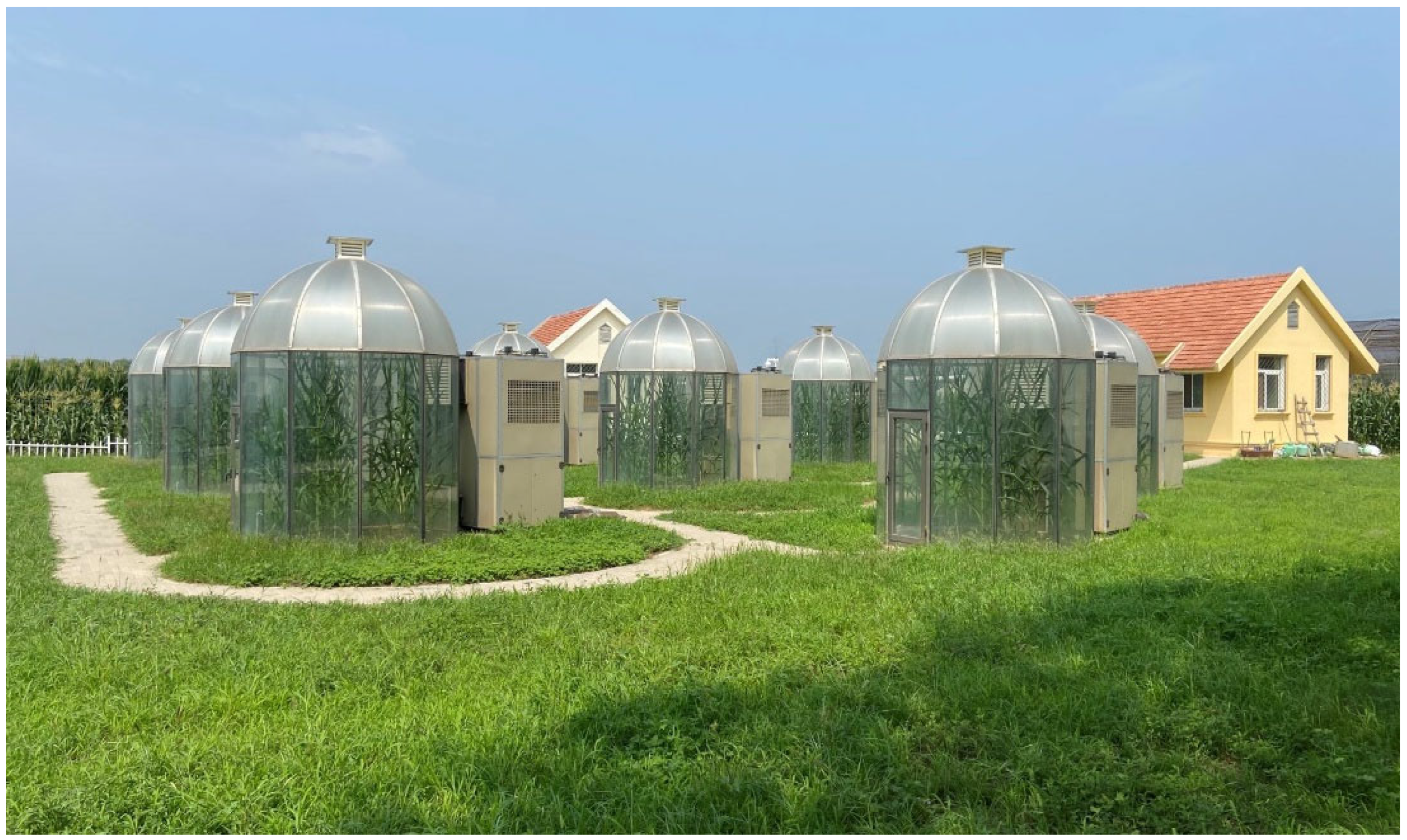 Agronomy 14 01751 g001