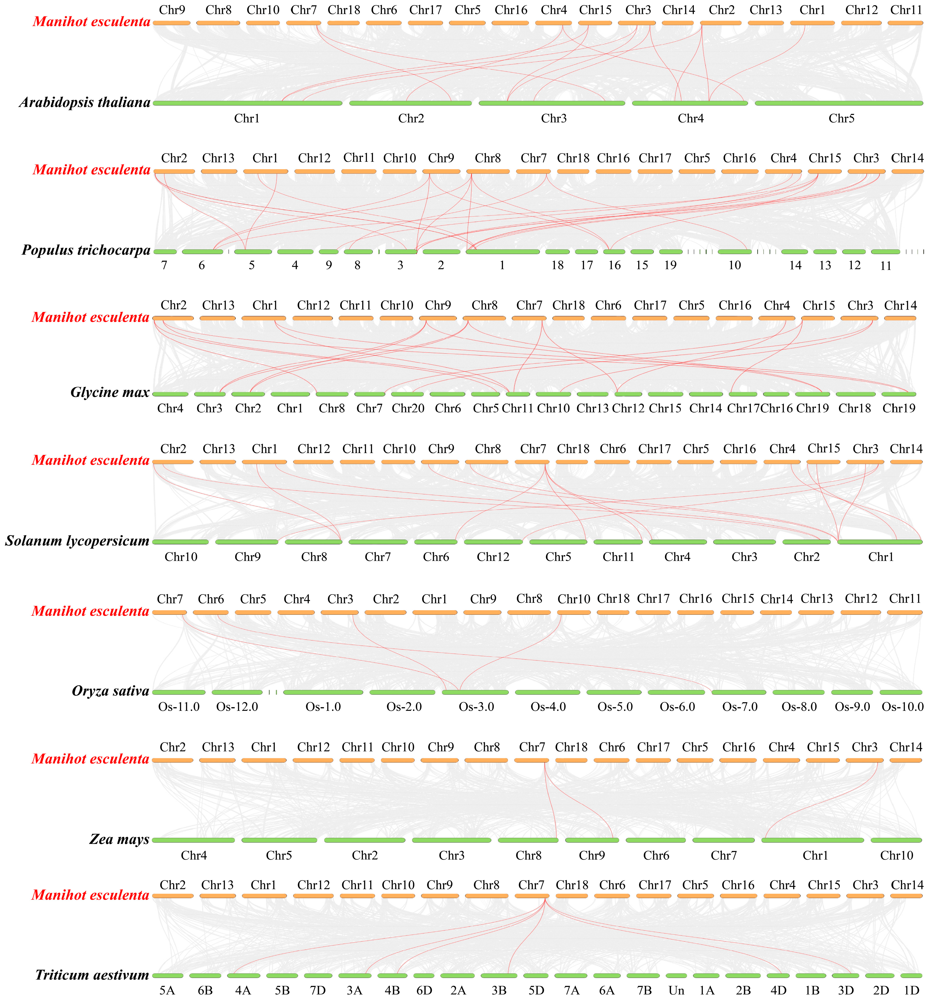Agronomy 14 01758 g004