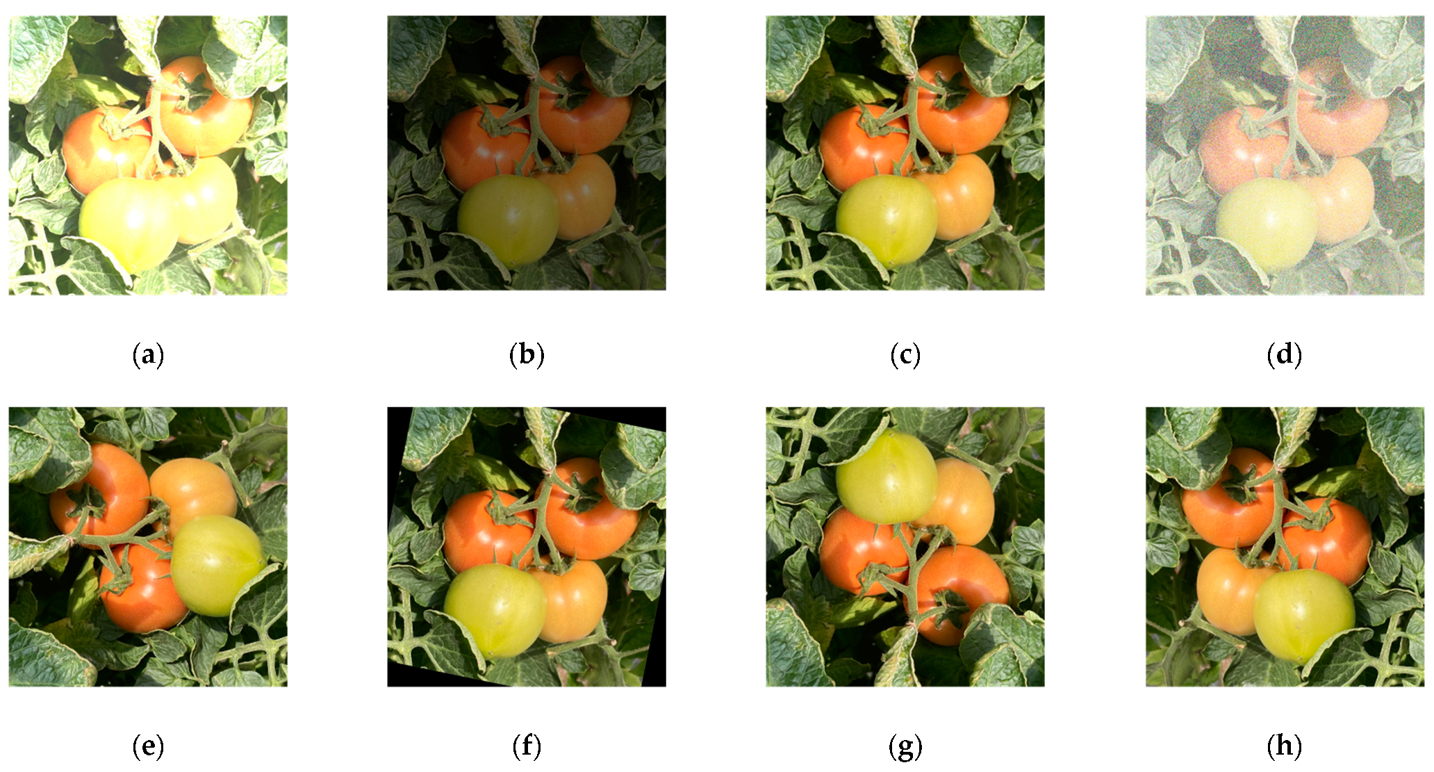 Agronomy 14 01764 g002
