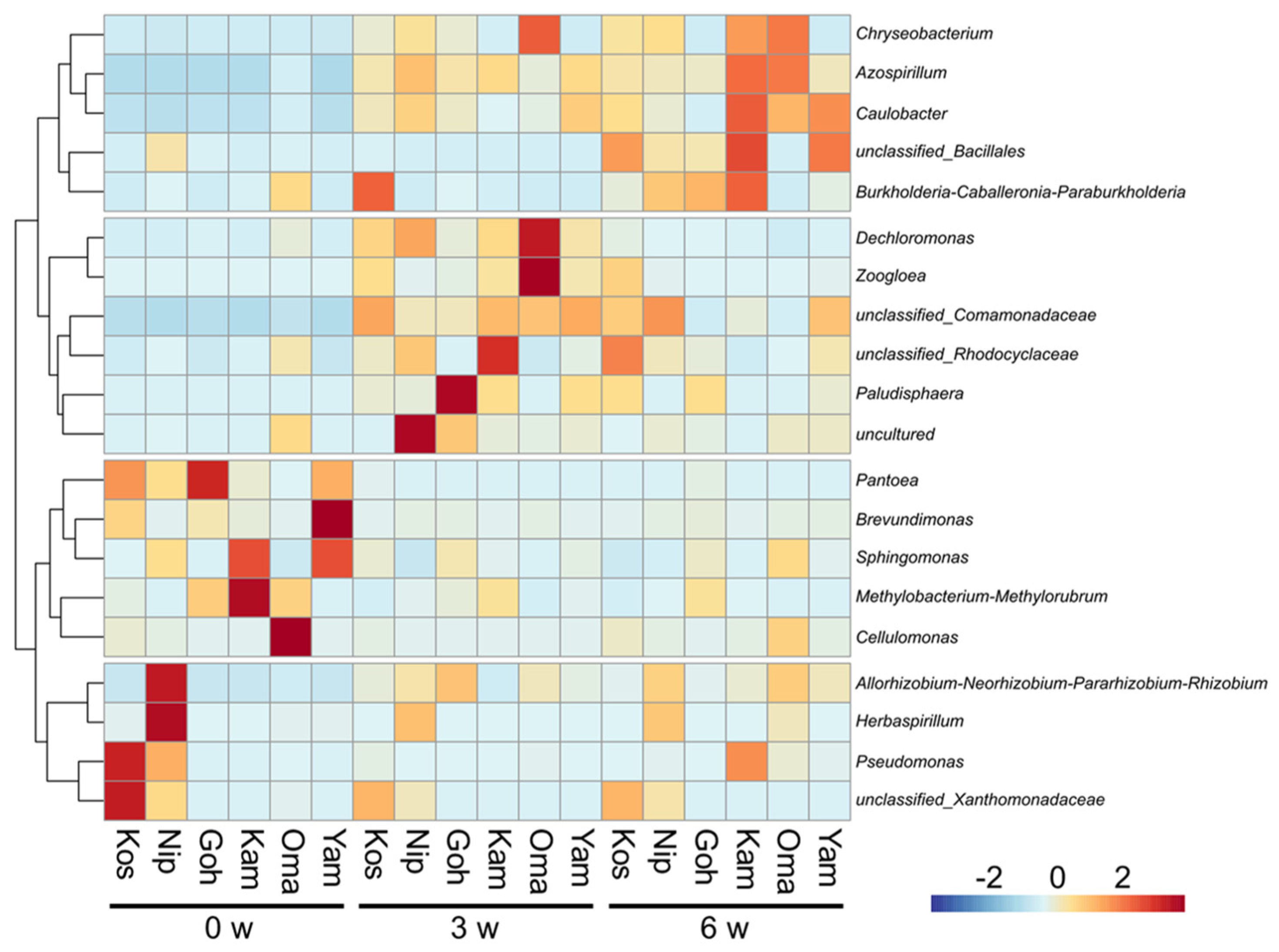 Agronomy 14 01769 g001