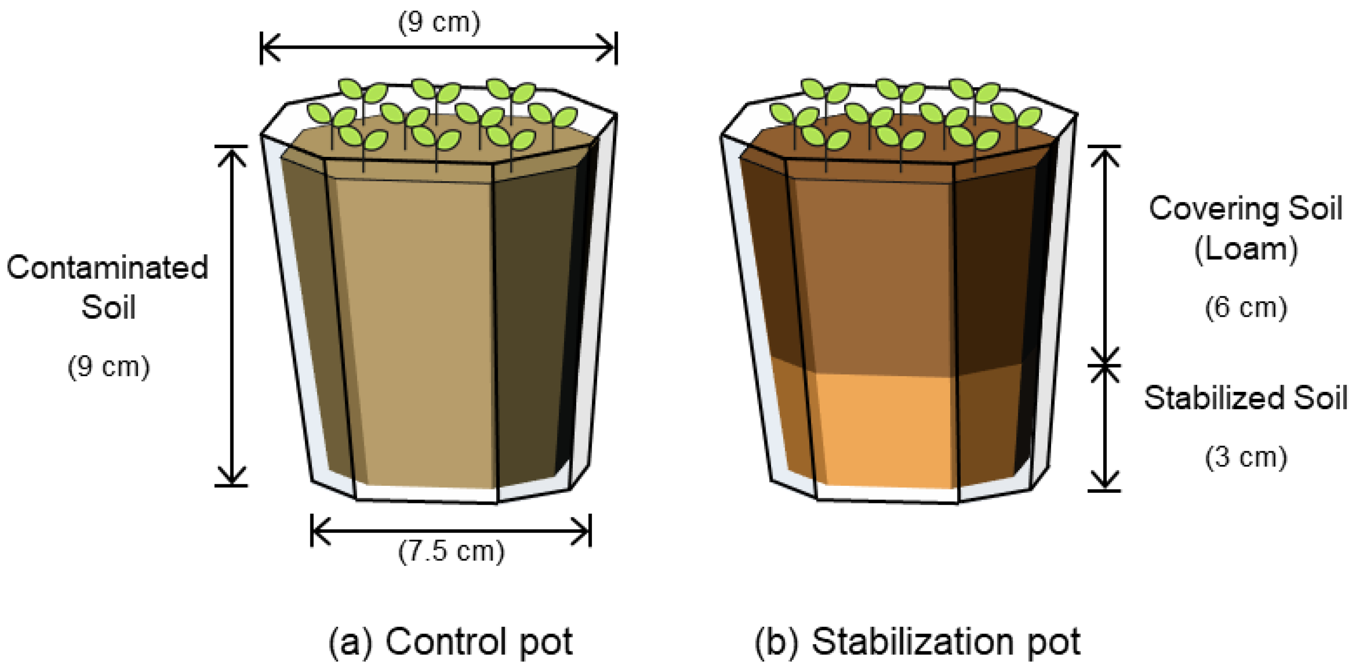 Agronomy 14 01781 g001