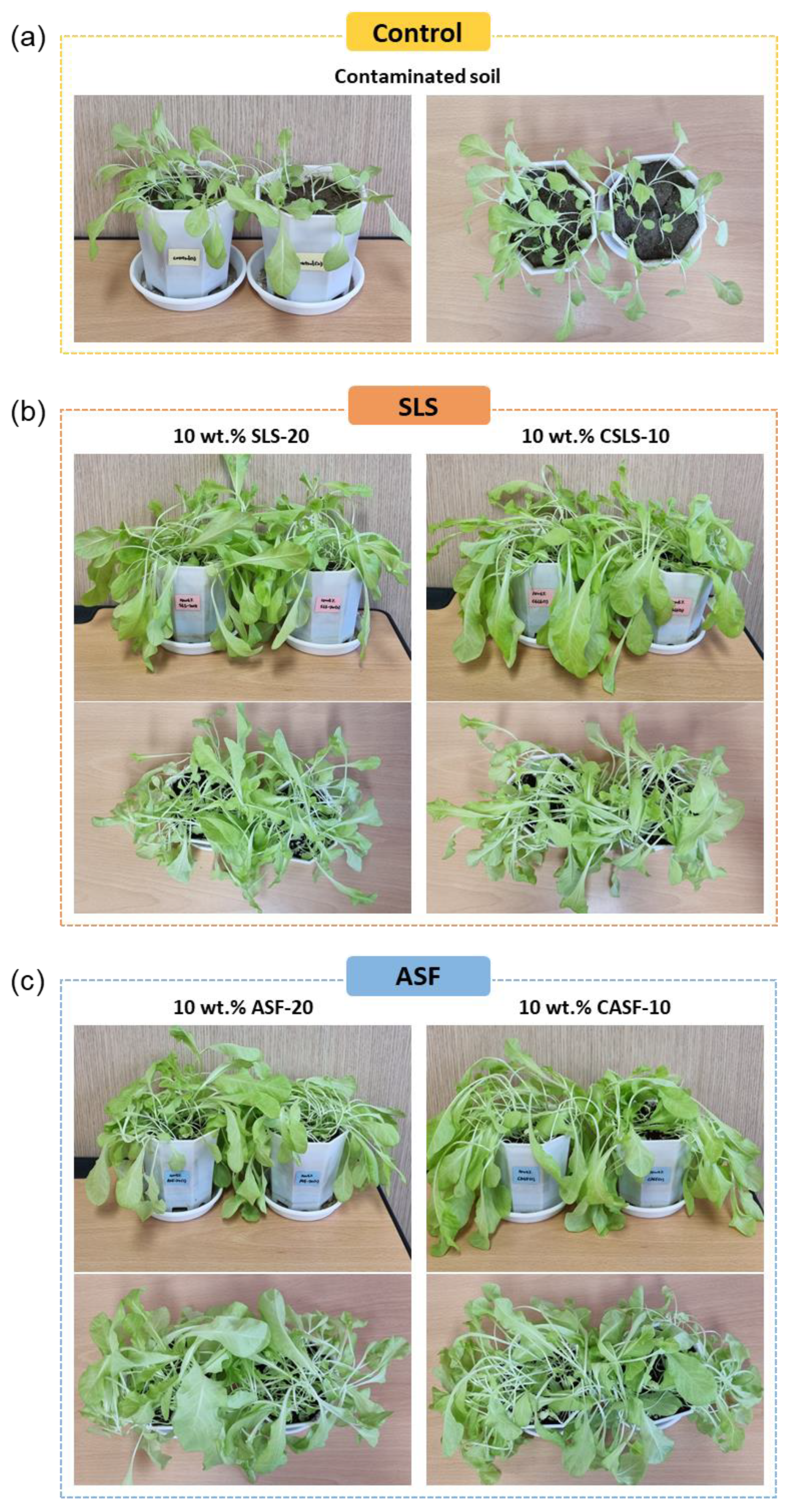 Agronomy 14 01781 g009