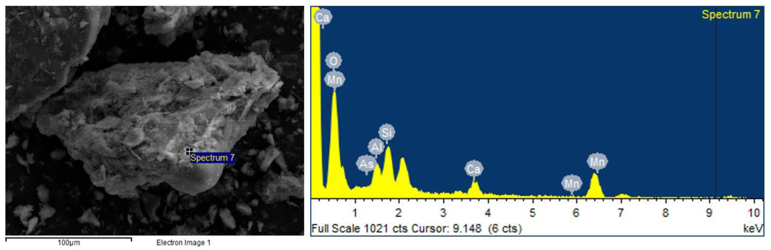 Agronomy 14 01781 g010