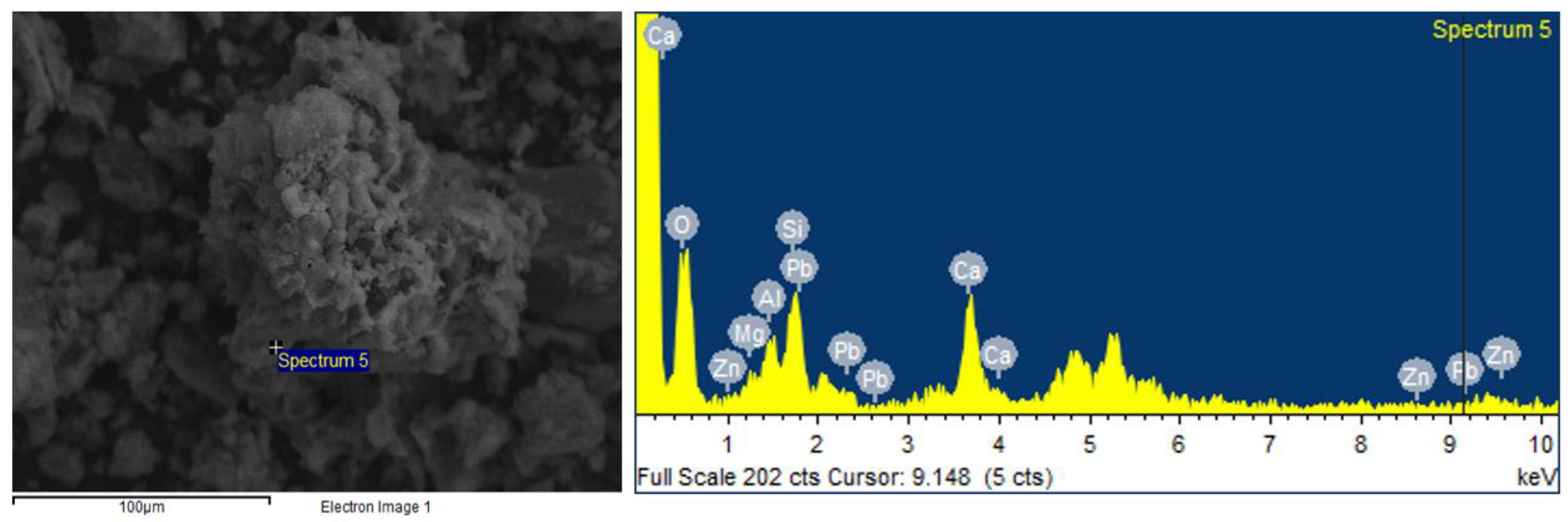 Agronomy 14 01781 g013