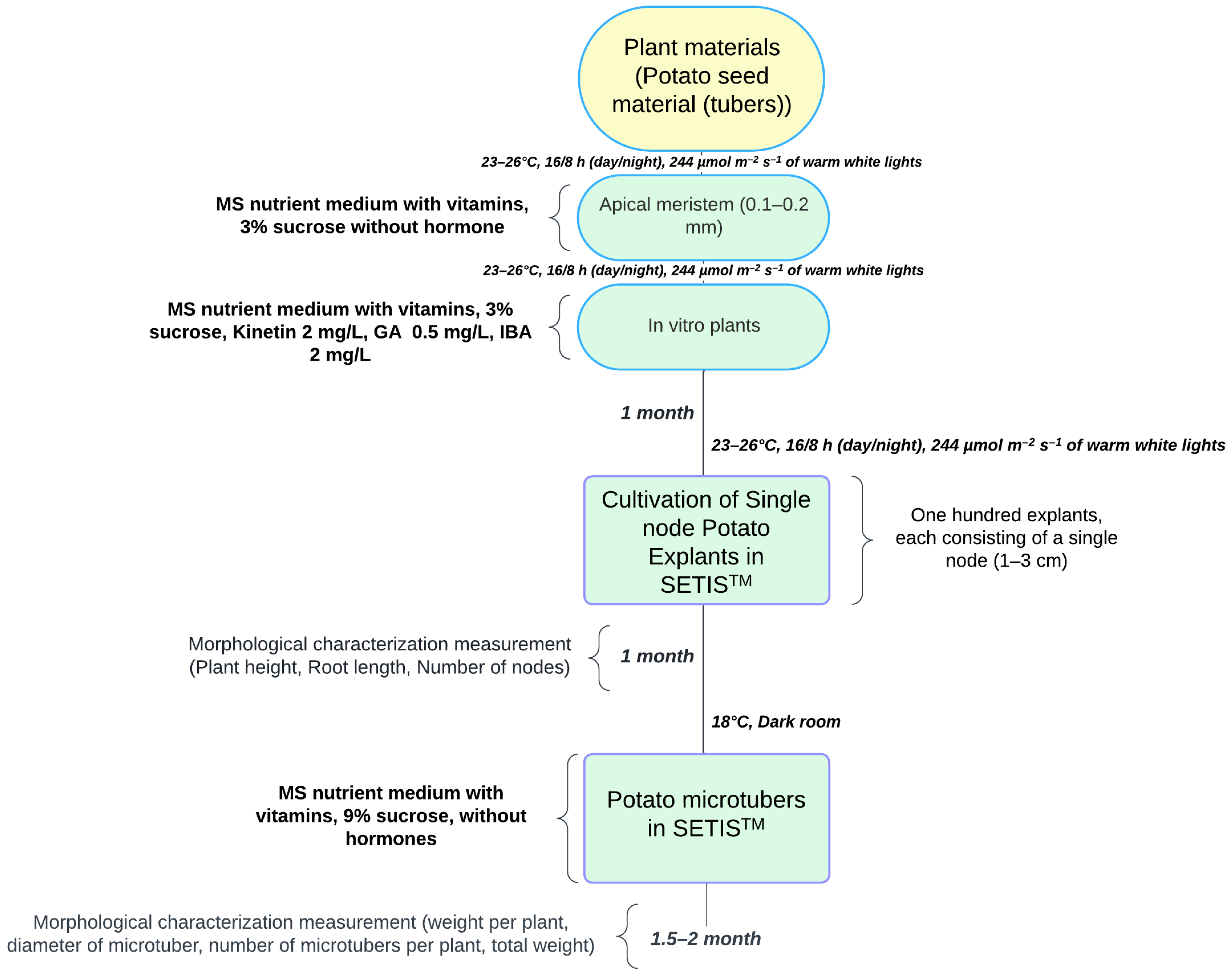 Agronomy 14 01782 g001
