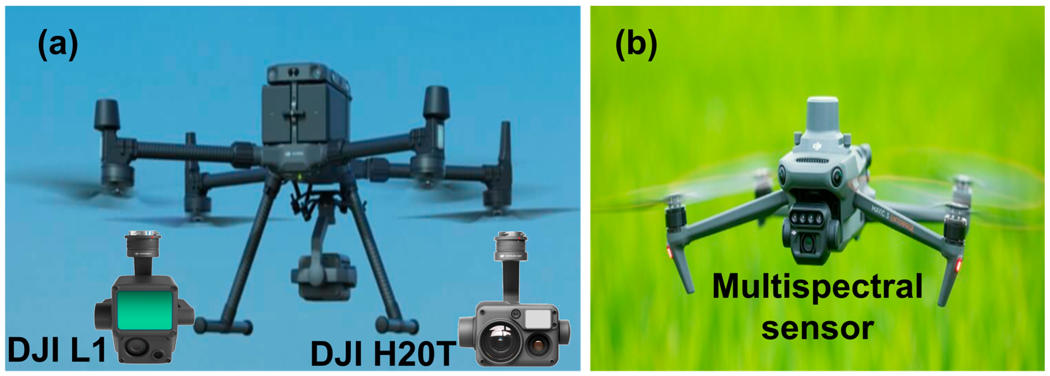 Agronomy 14 01783 g002