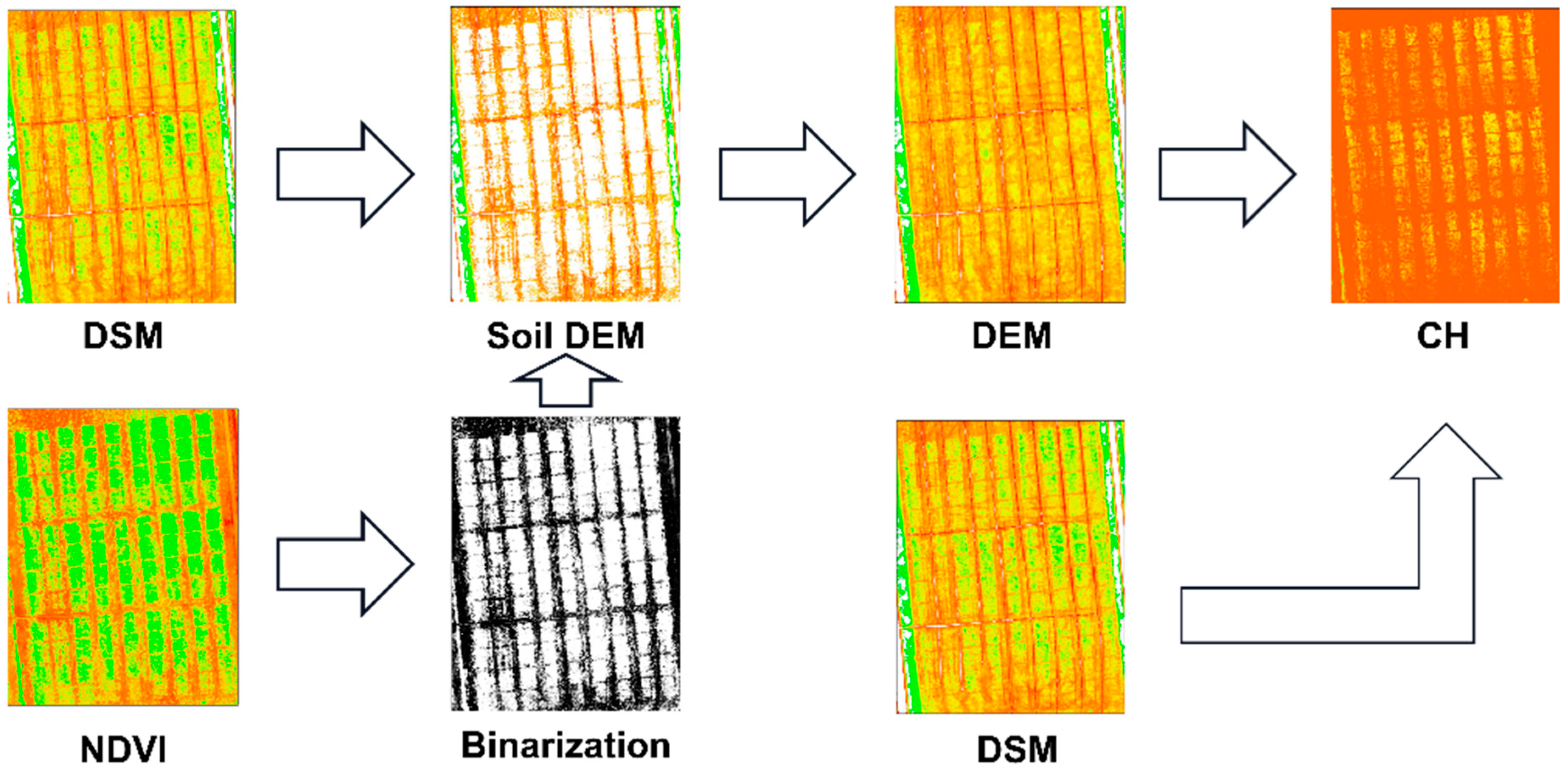 Agronomy 14 01783 g004