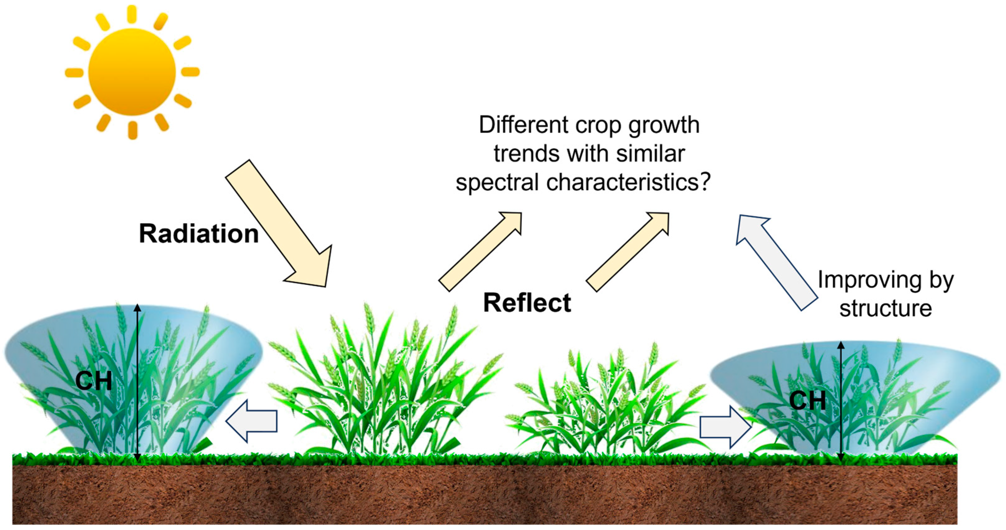 Agronomy 14 01783 g005