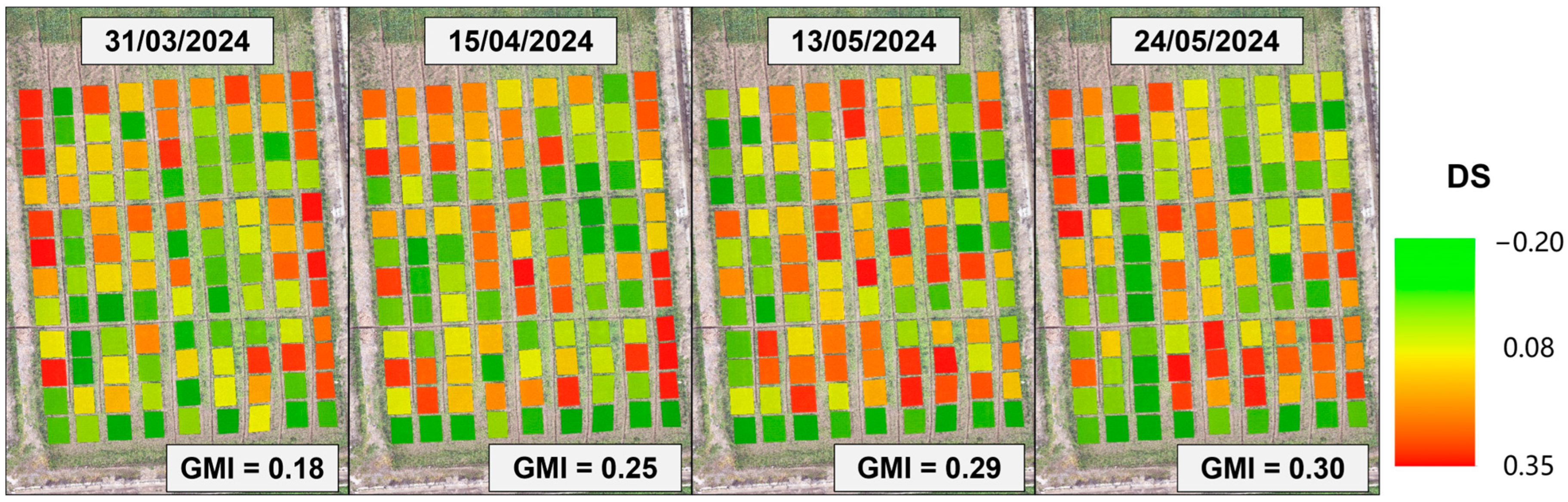 Agronomy 14 01783 g012