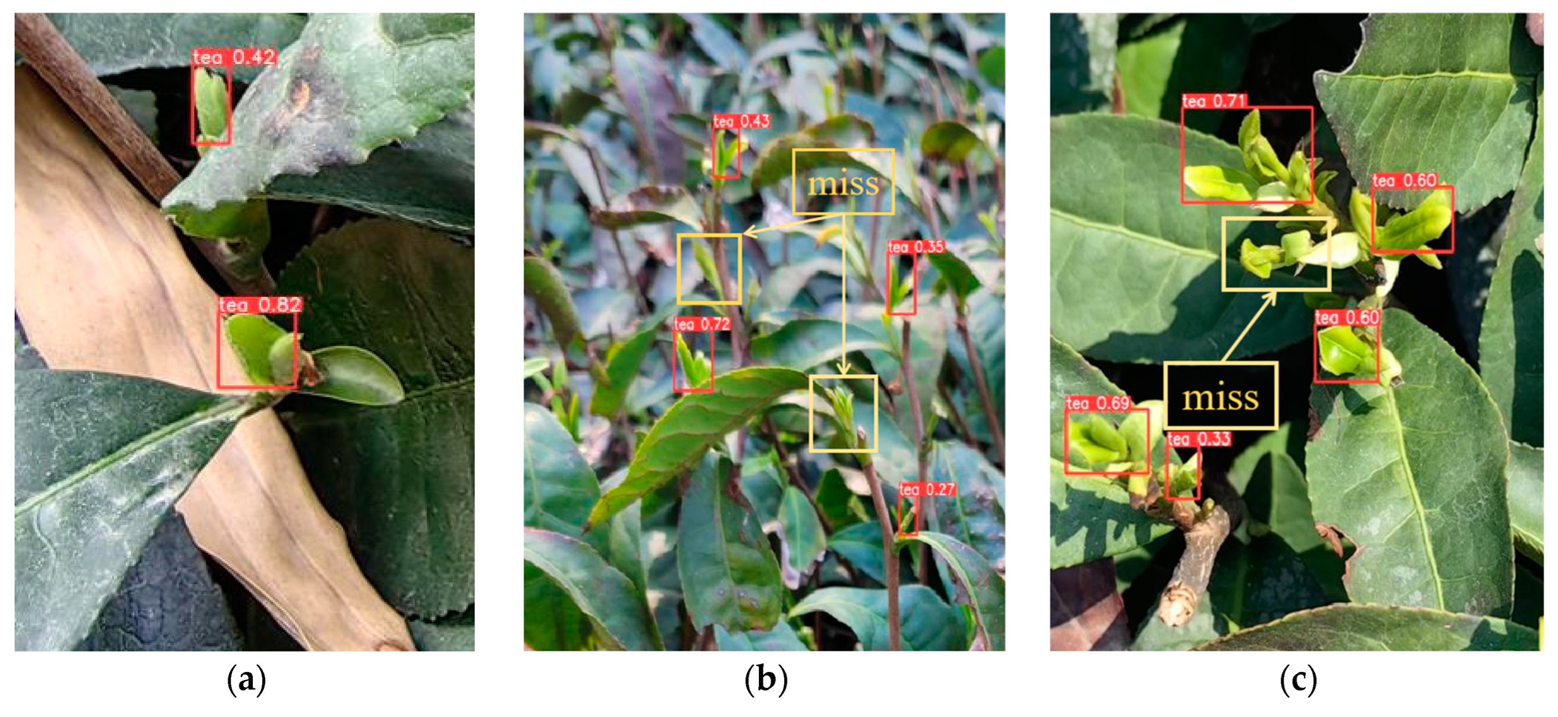 Agronomy 14 01800 g010