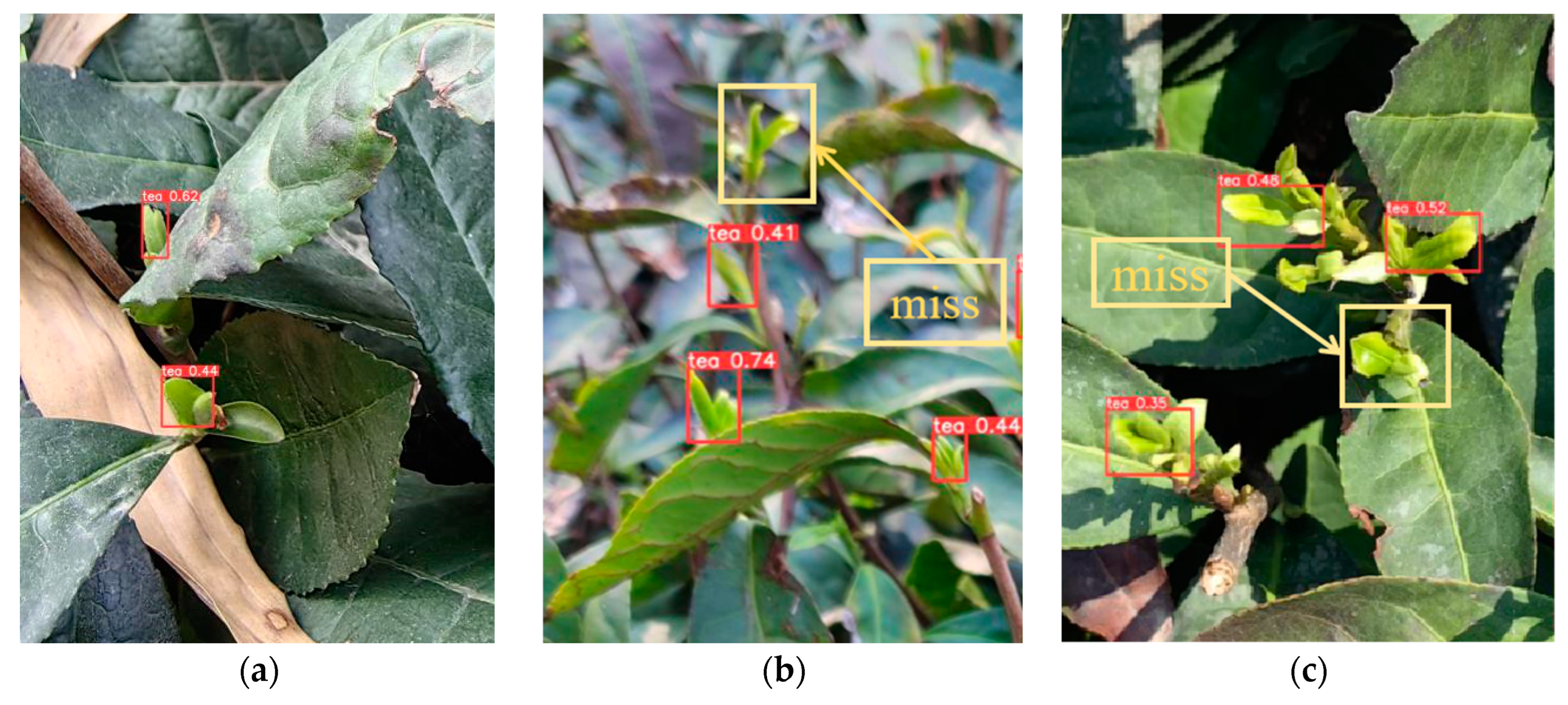 Agronomy 14 01800 g012