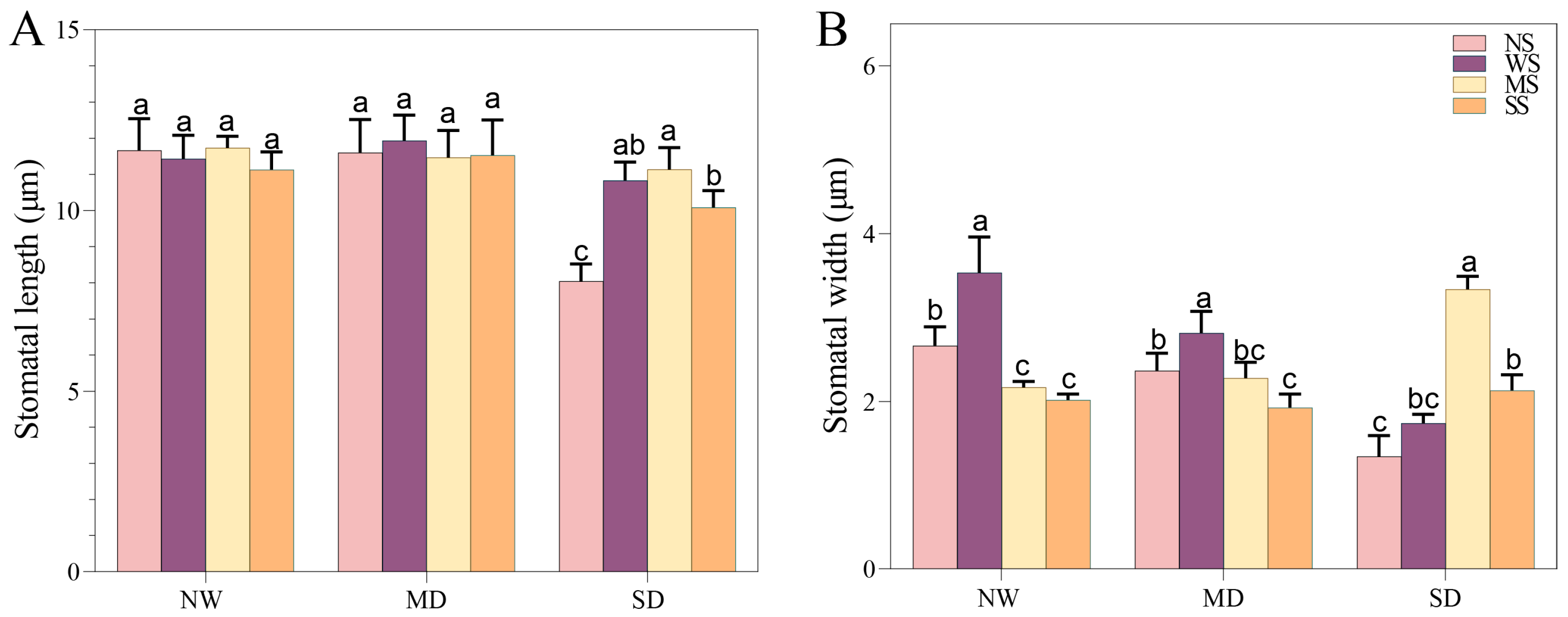 Agronomy 14 01803 g002