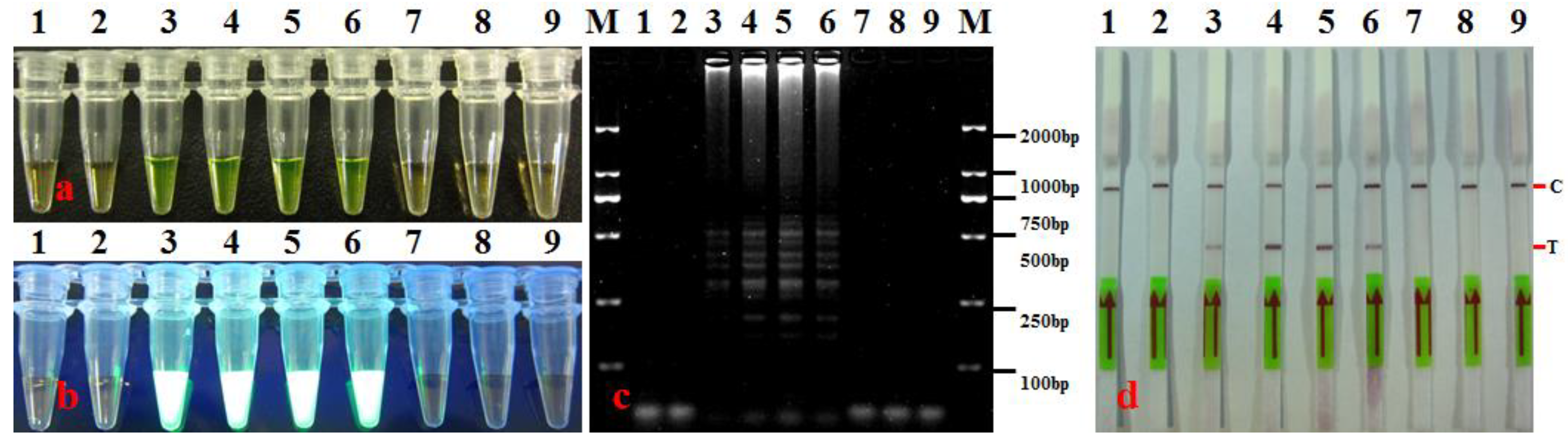 Agronomy 14 01804 g002 Agronomy 14 01804 g002